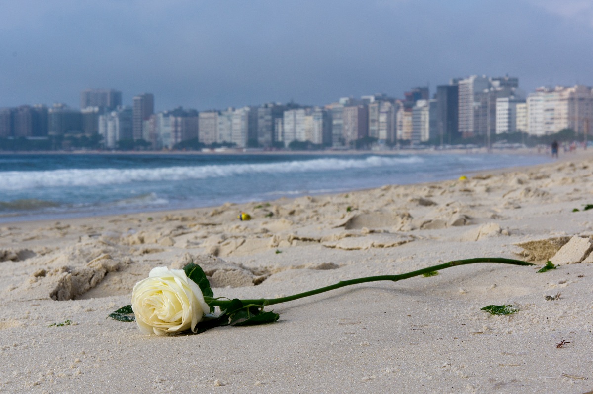 rosa bianca a Rio