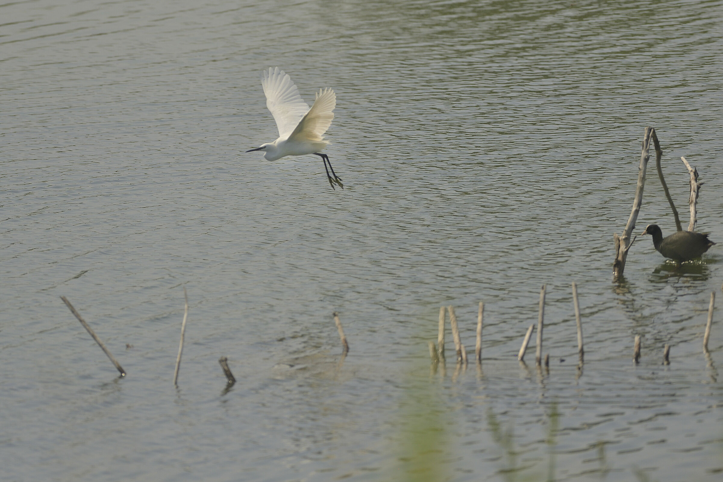 verso l'infinito e oltre