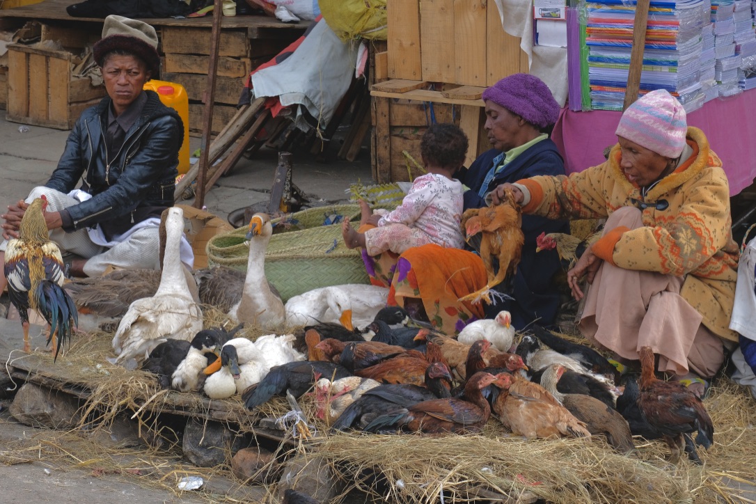 market in the capital Tana