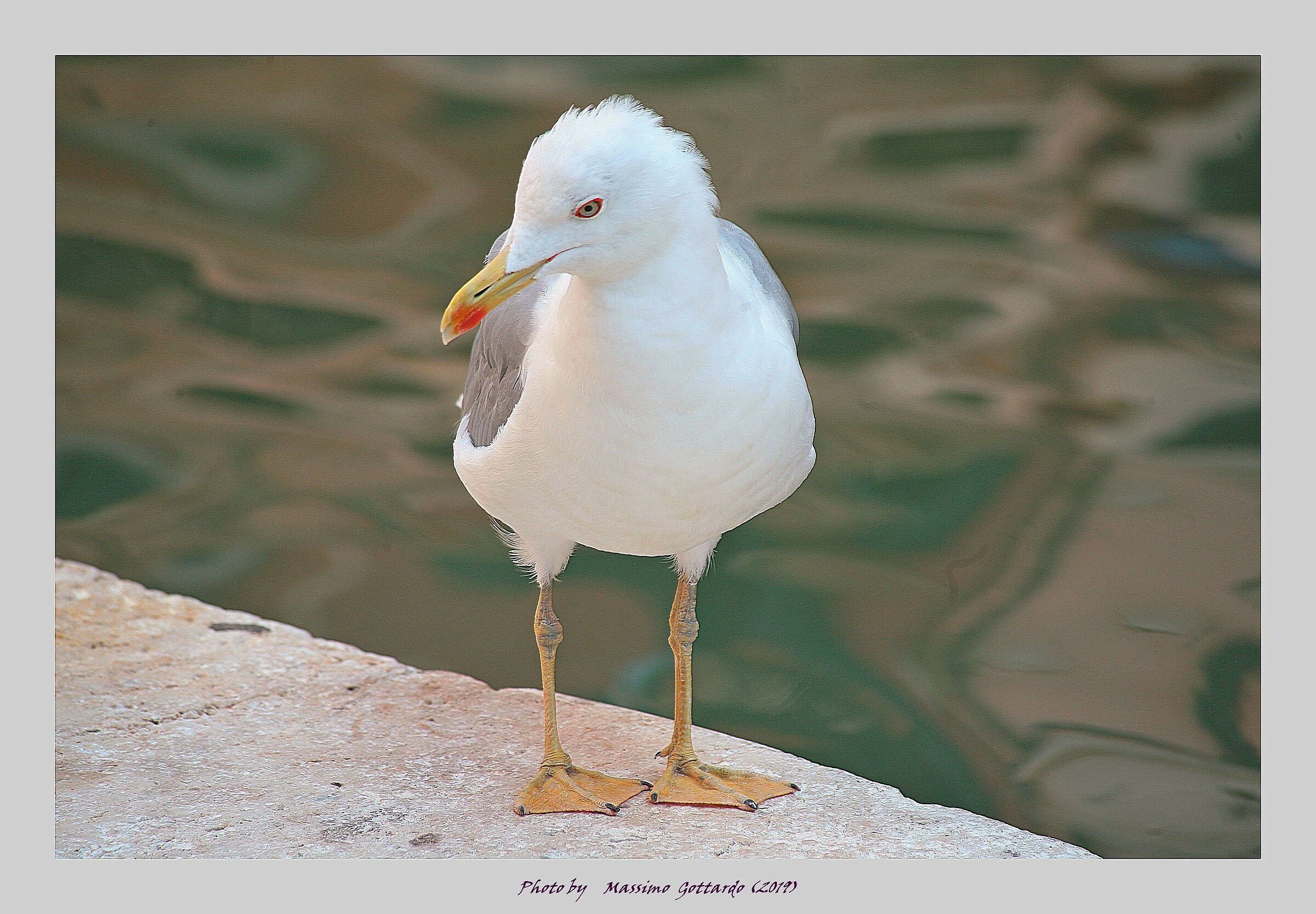 indifferent and ruthless