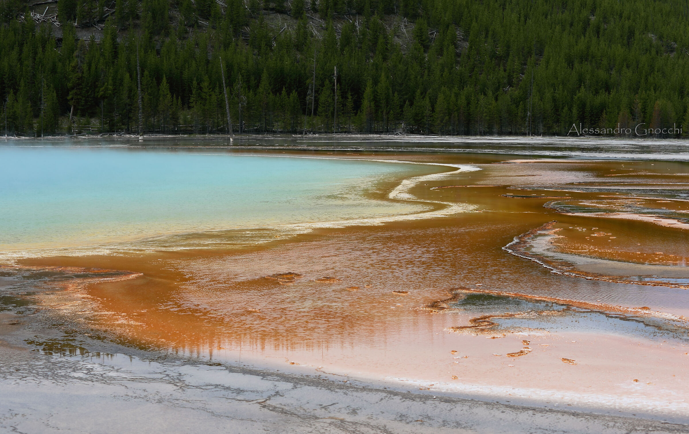 Grand Prismatic Springs basin 4