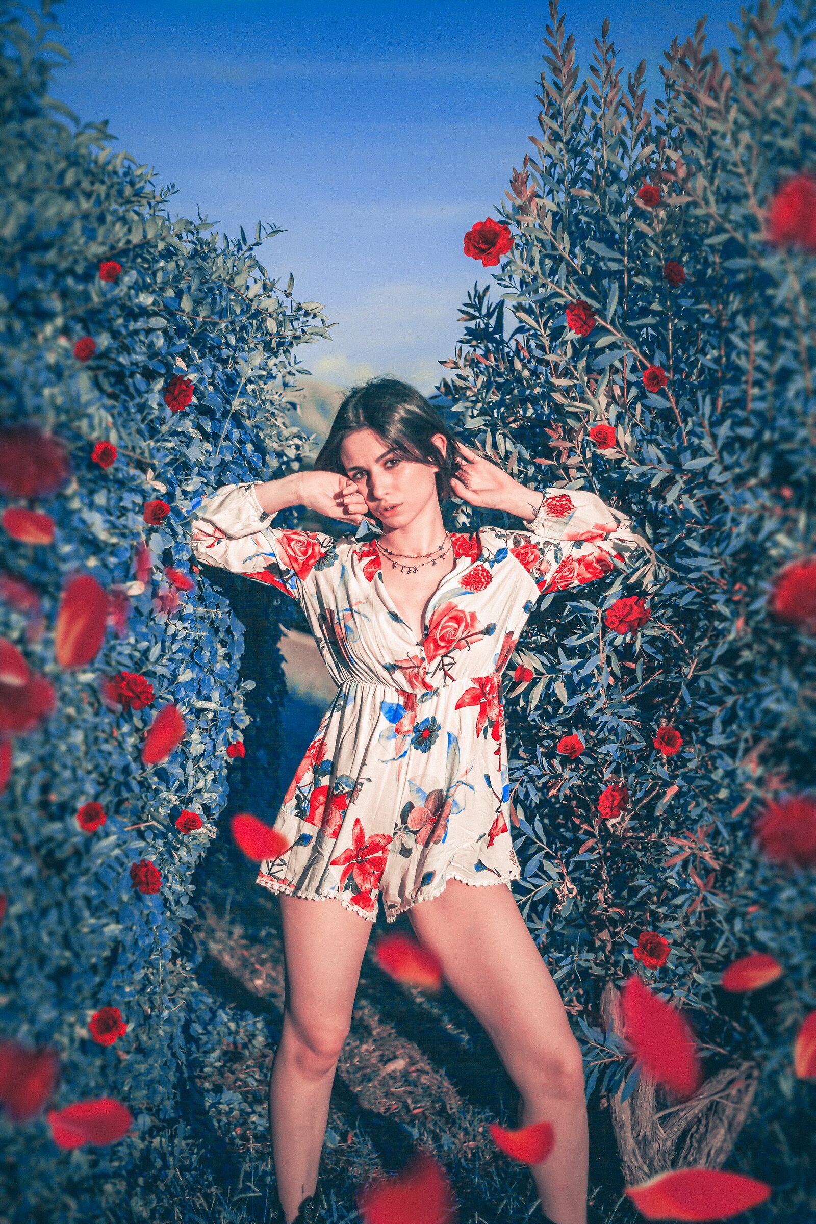 Roses