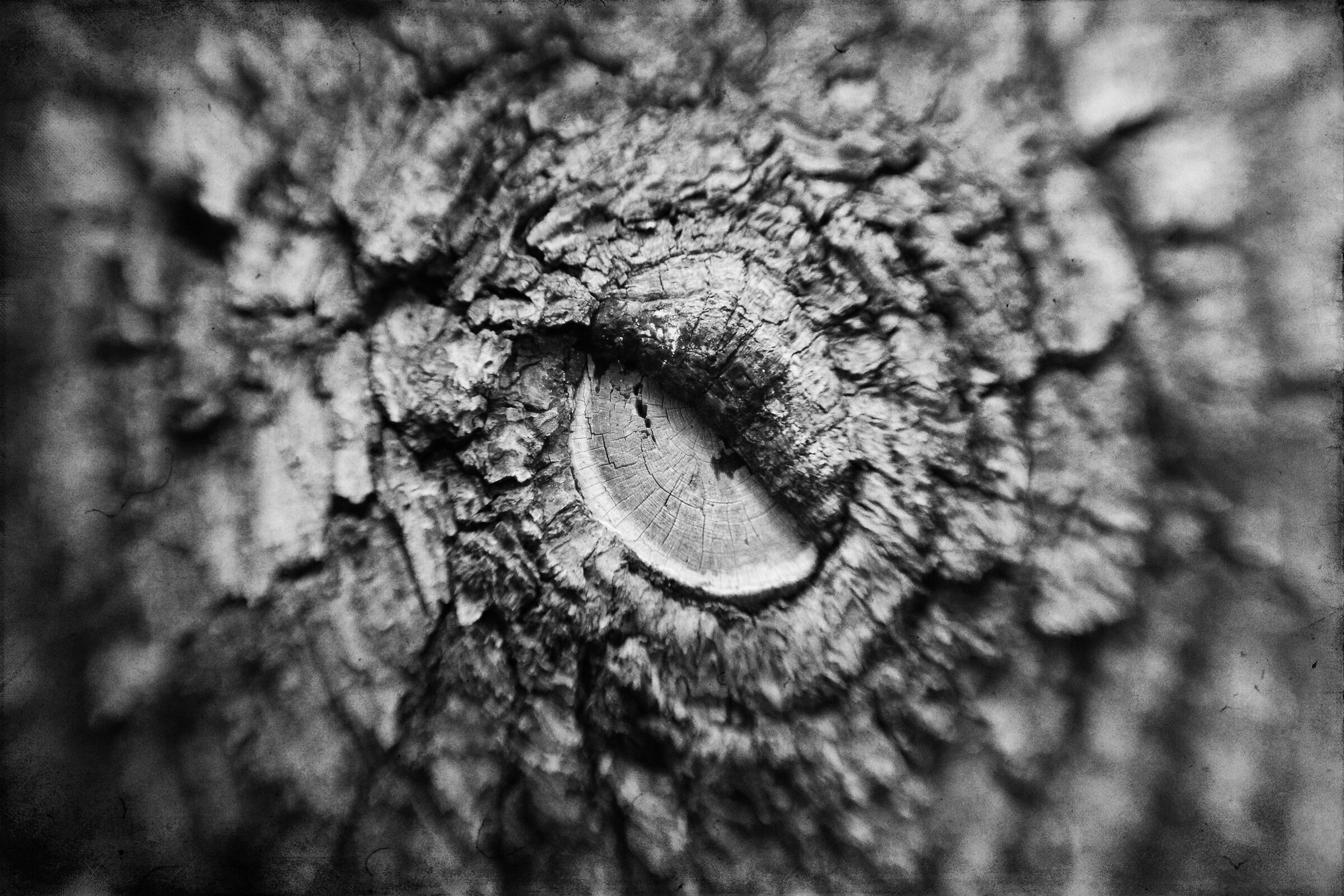 Nature is watching...