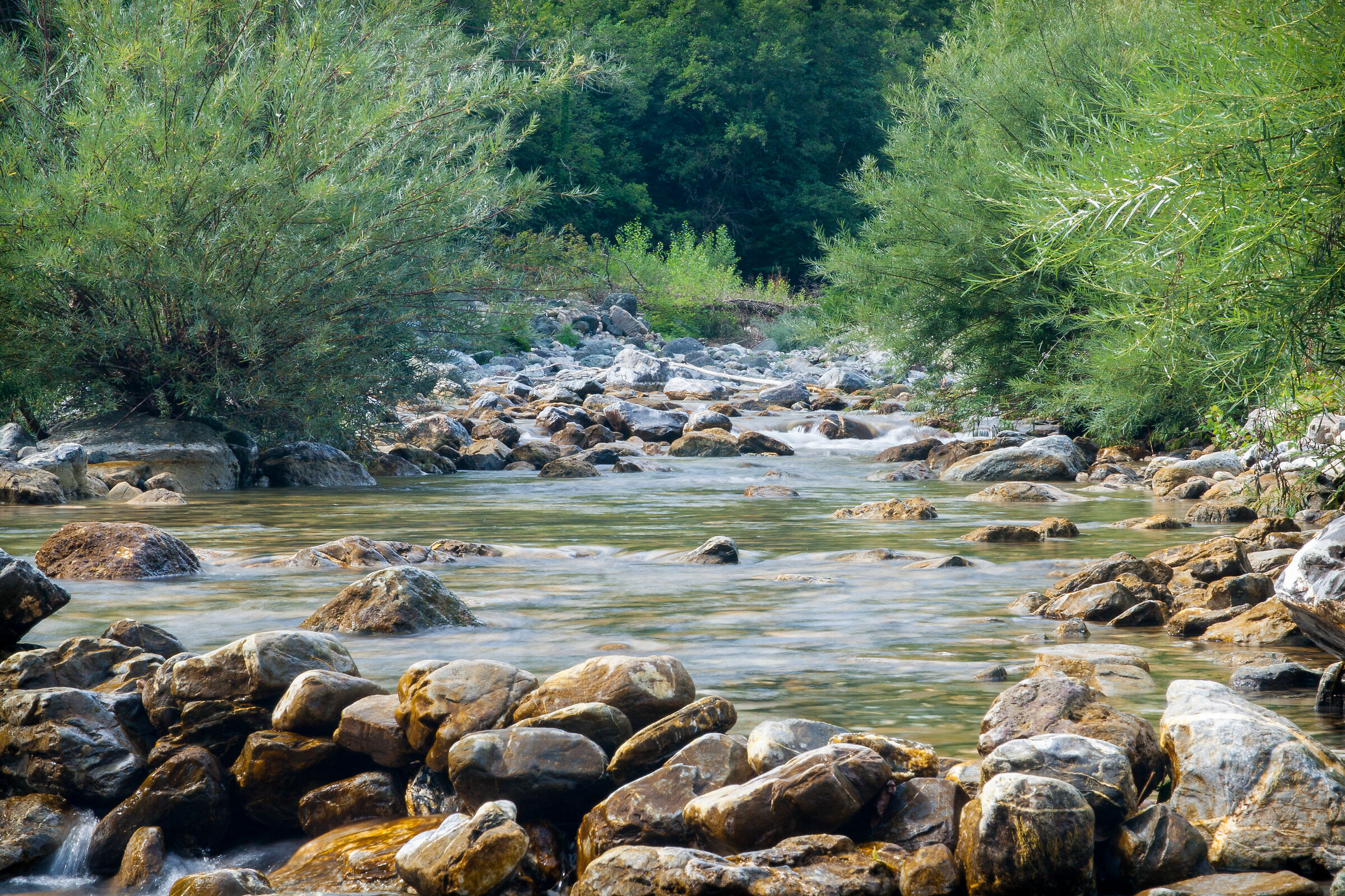 The calm of the Trebbia
