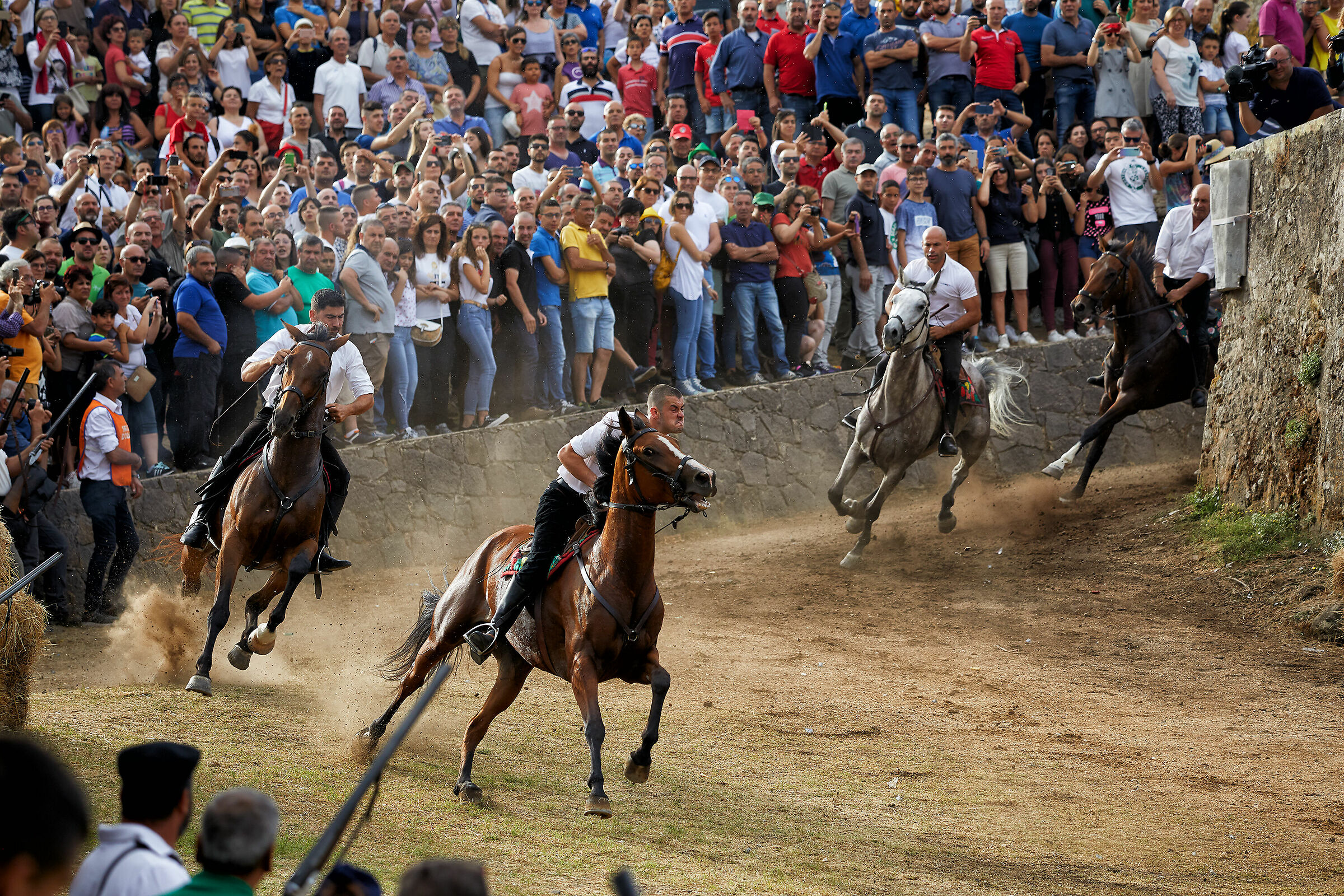 A Remorex horse of Sedilo winner of the Palio