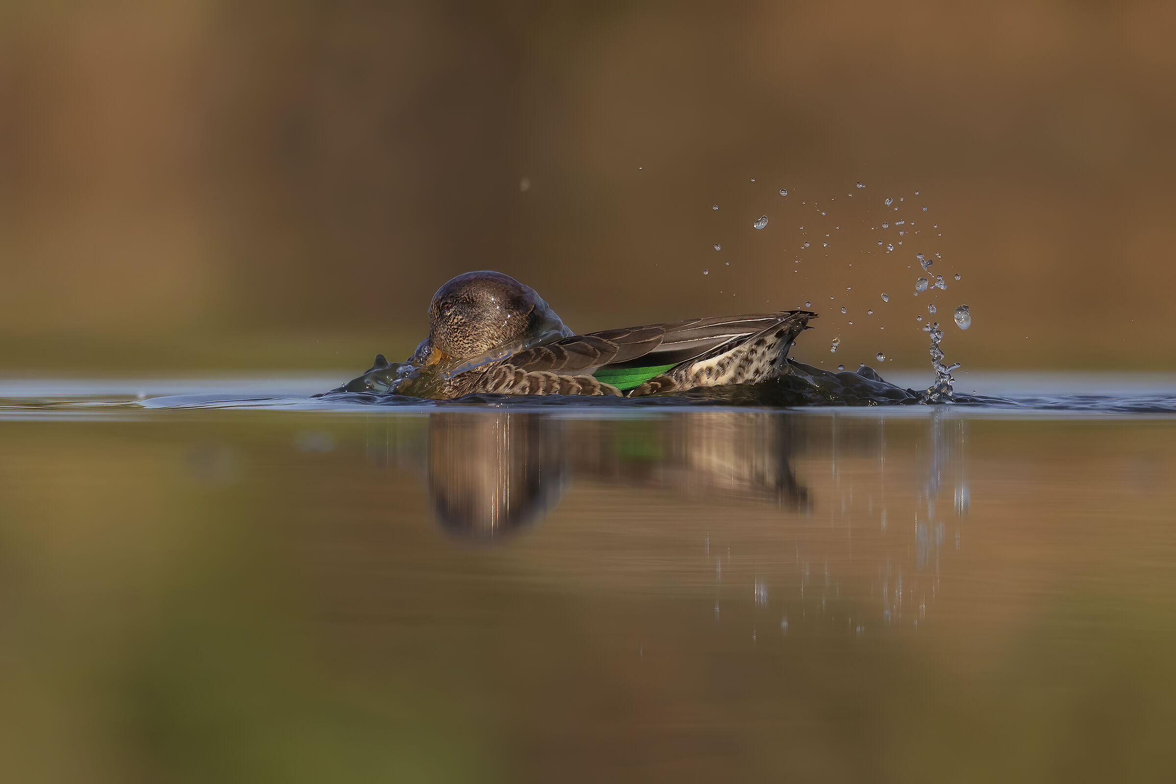 Helpoooooooooooo... I don't breathe