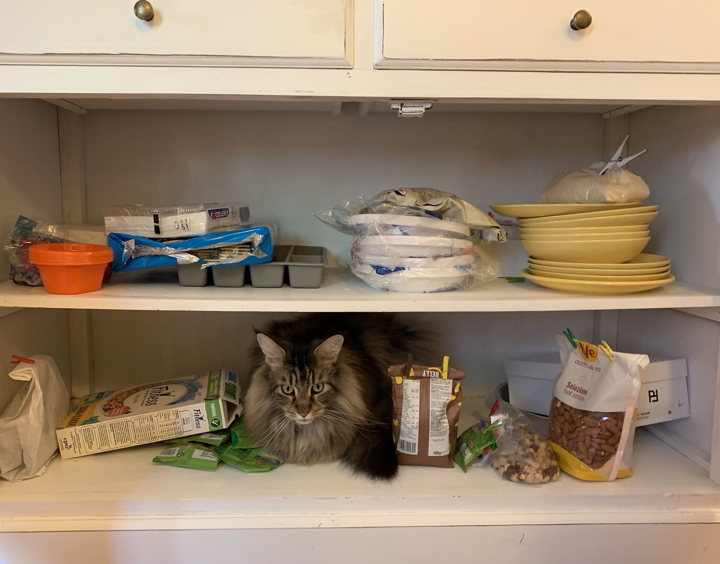 All mine ... even the belief