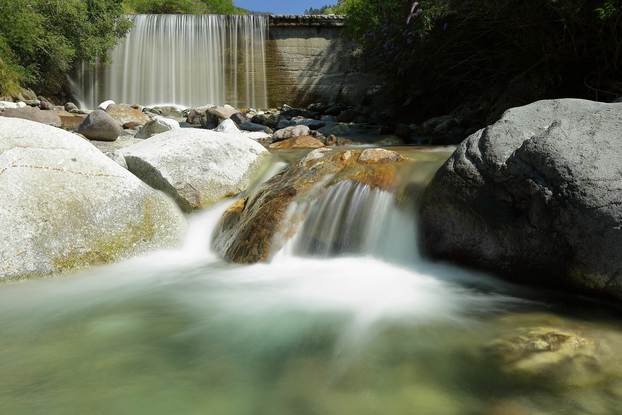 the silence of the woods