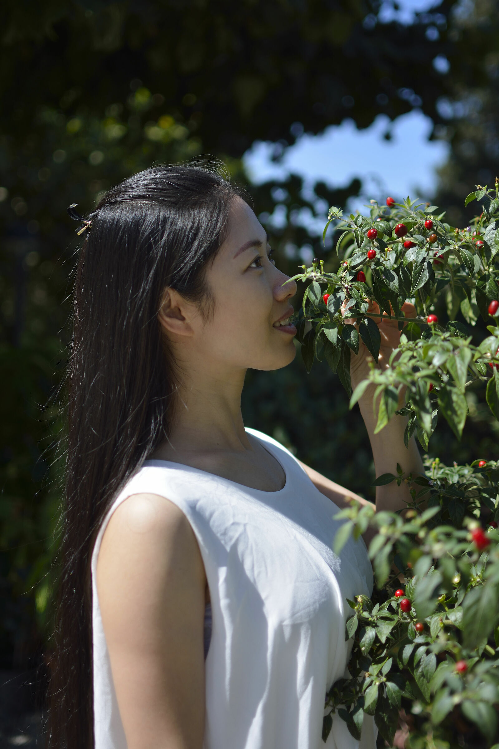 Gita Piazzale Michelangelo , giardino delle rose