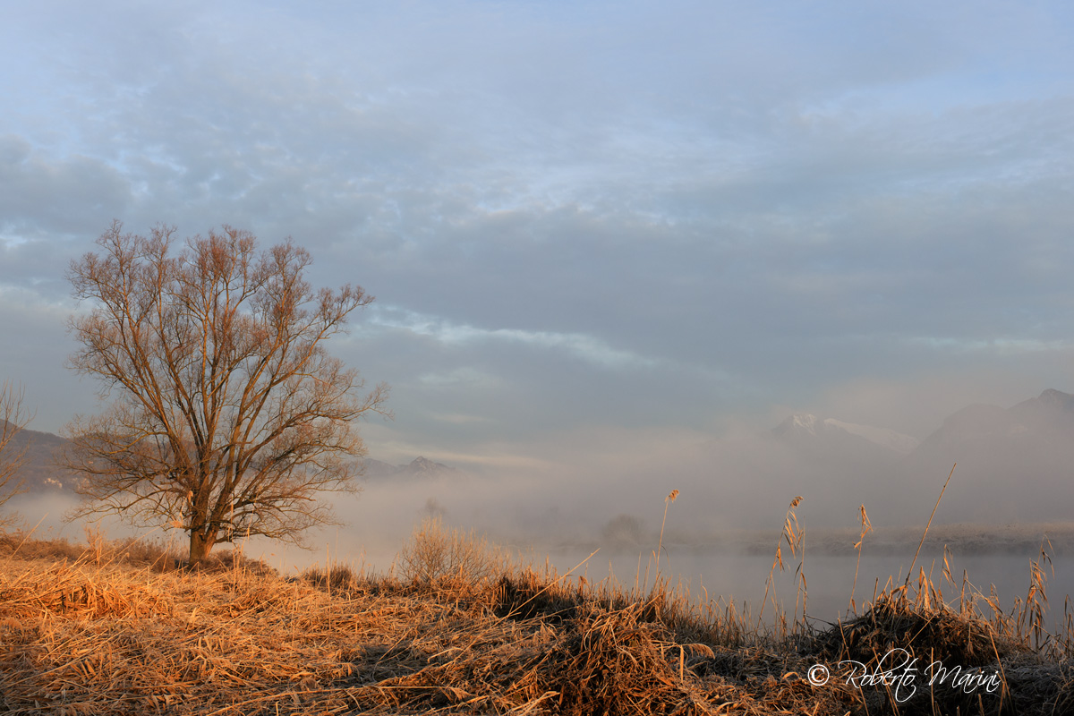 Adda, the first morning light