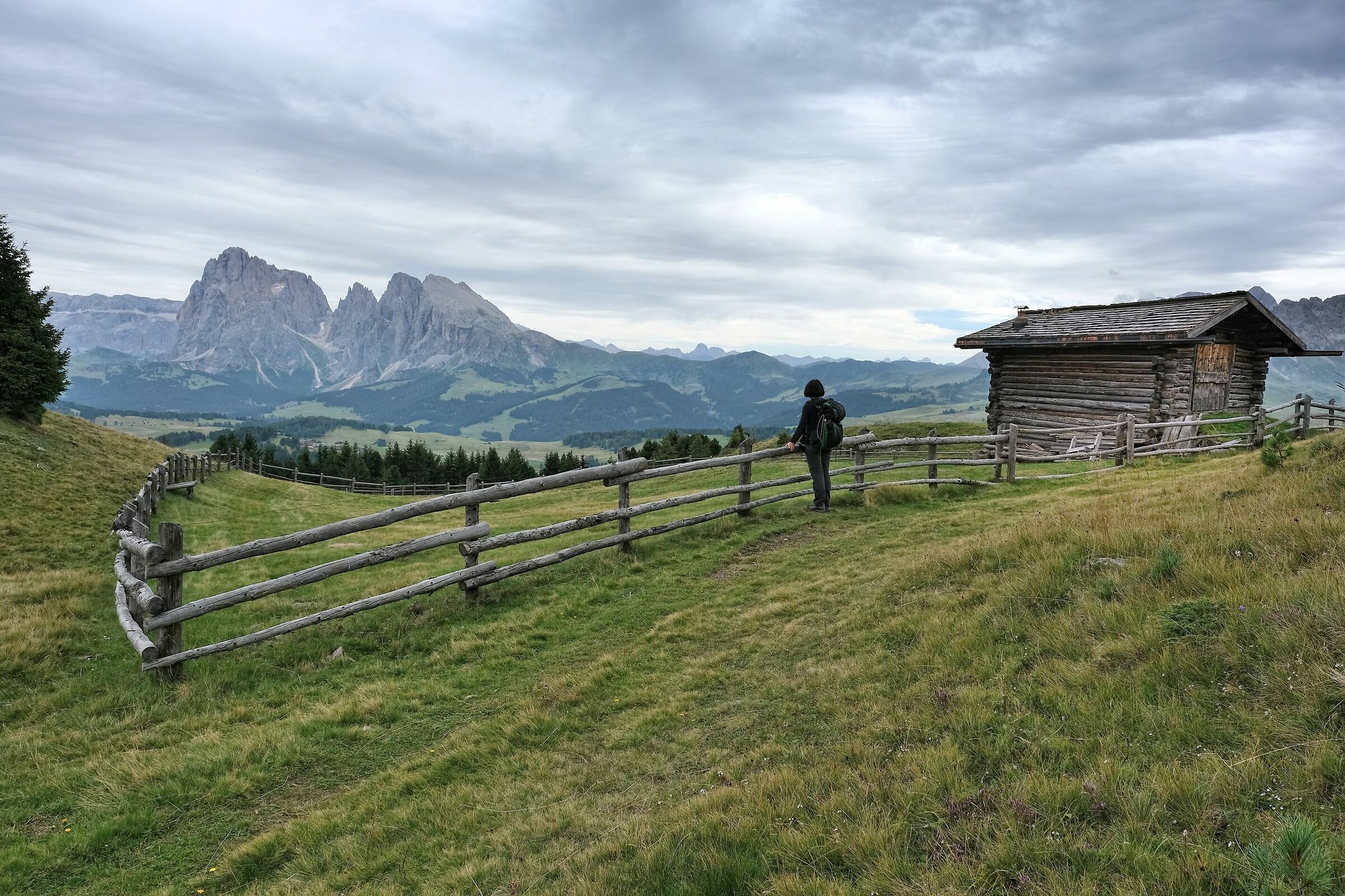 Alpe di Siusi