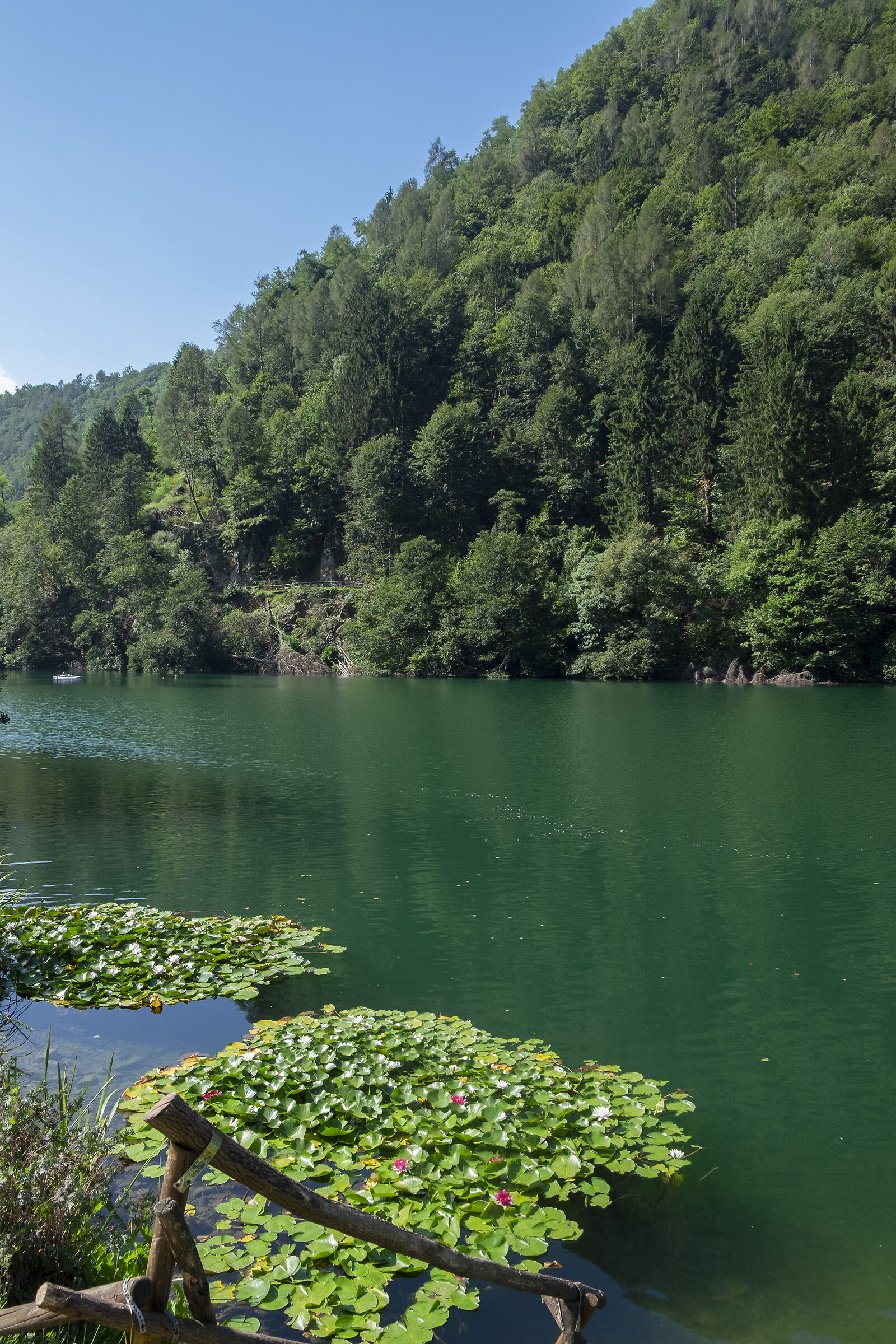 Lago di Lèvico (tn), agosto 2019