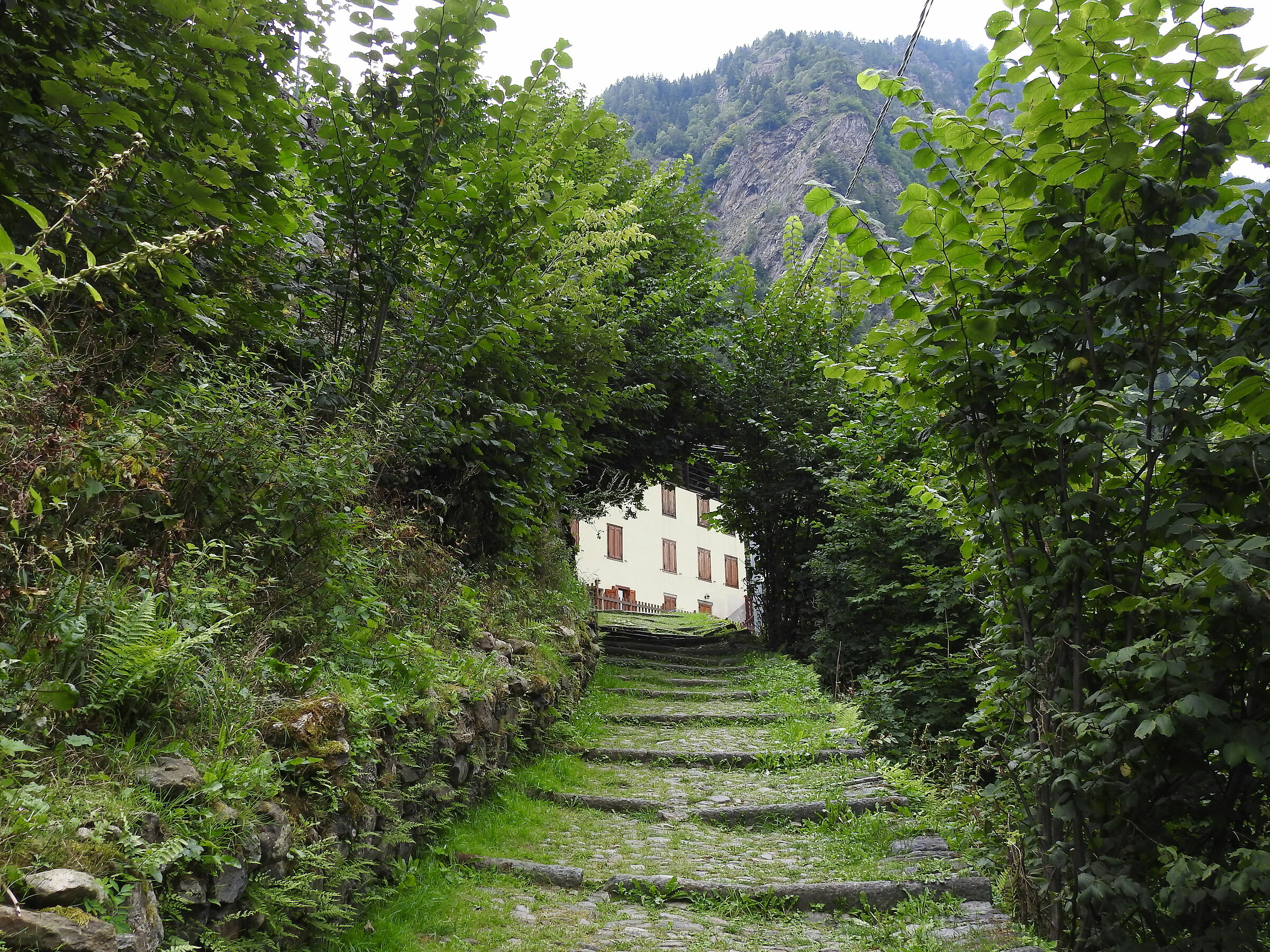 Tunnel