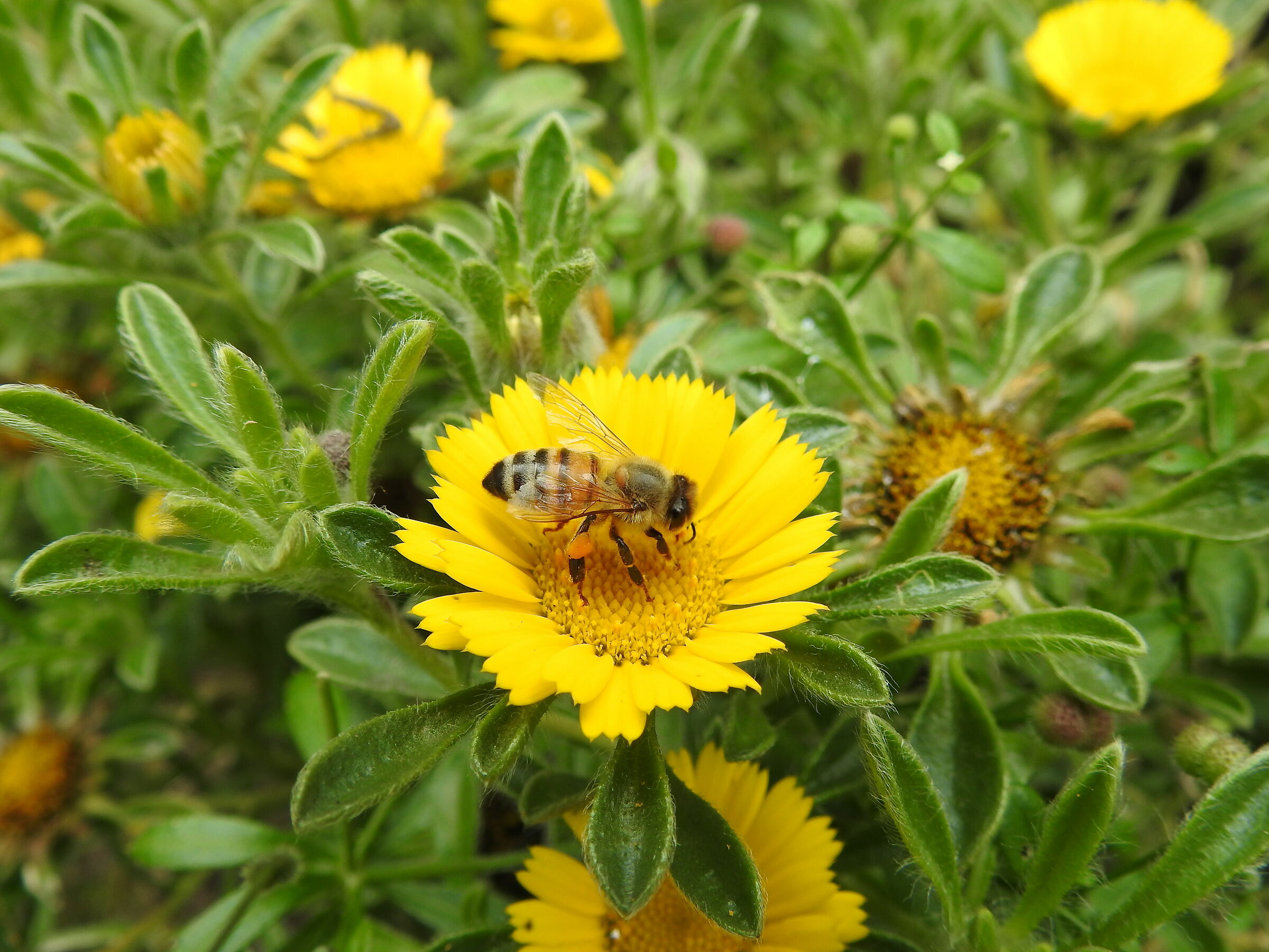 Lavorare a ferragosto