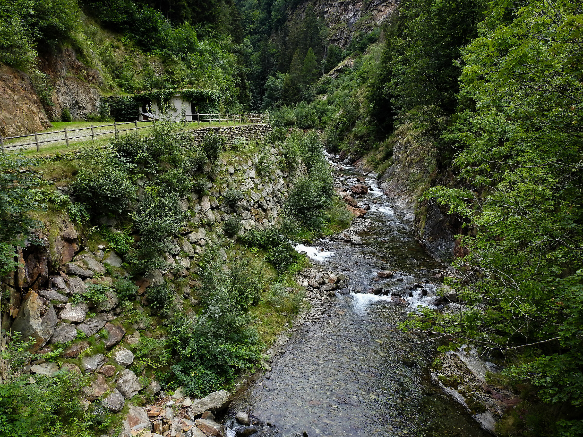 Untitled Photo