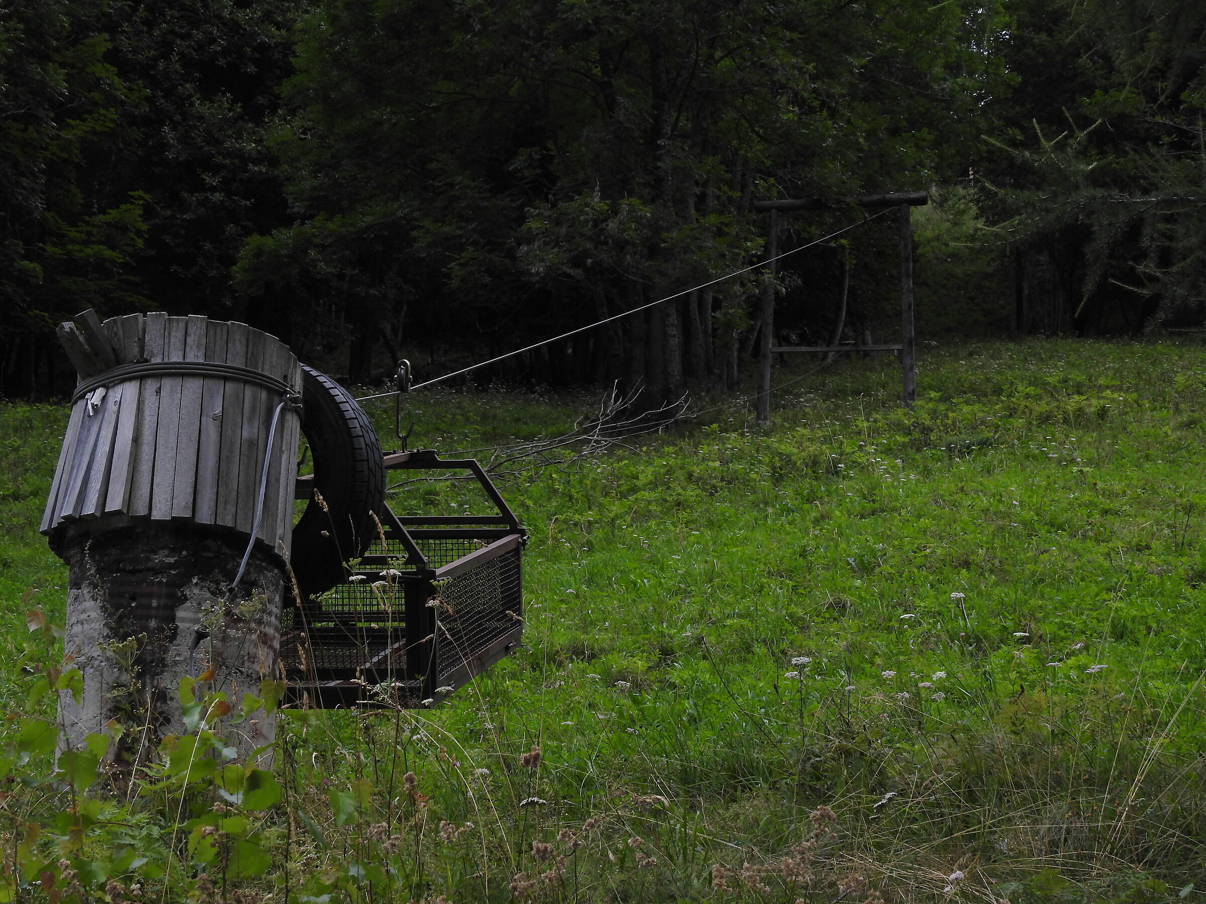 Untitled Photo