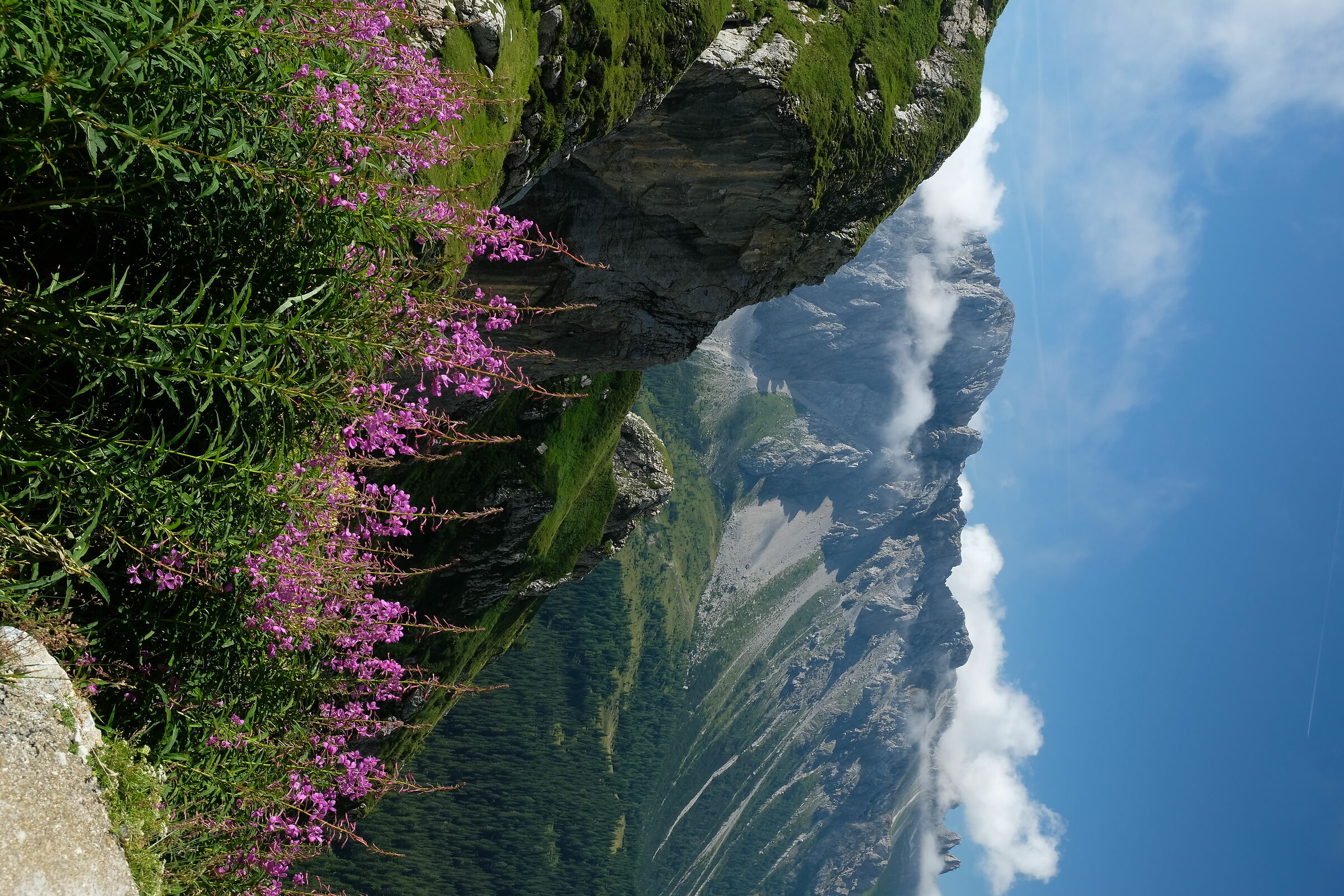 Vista dal rif. Calvi