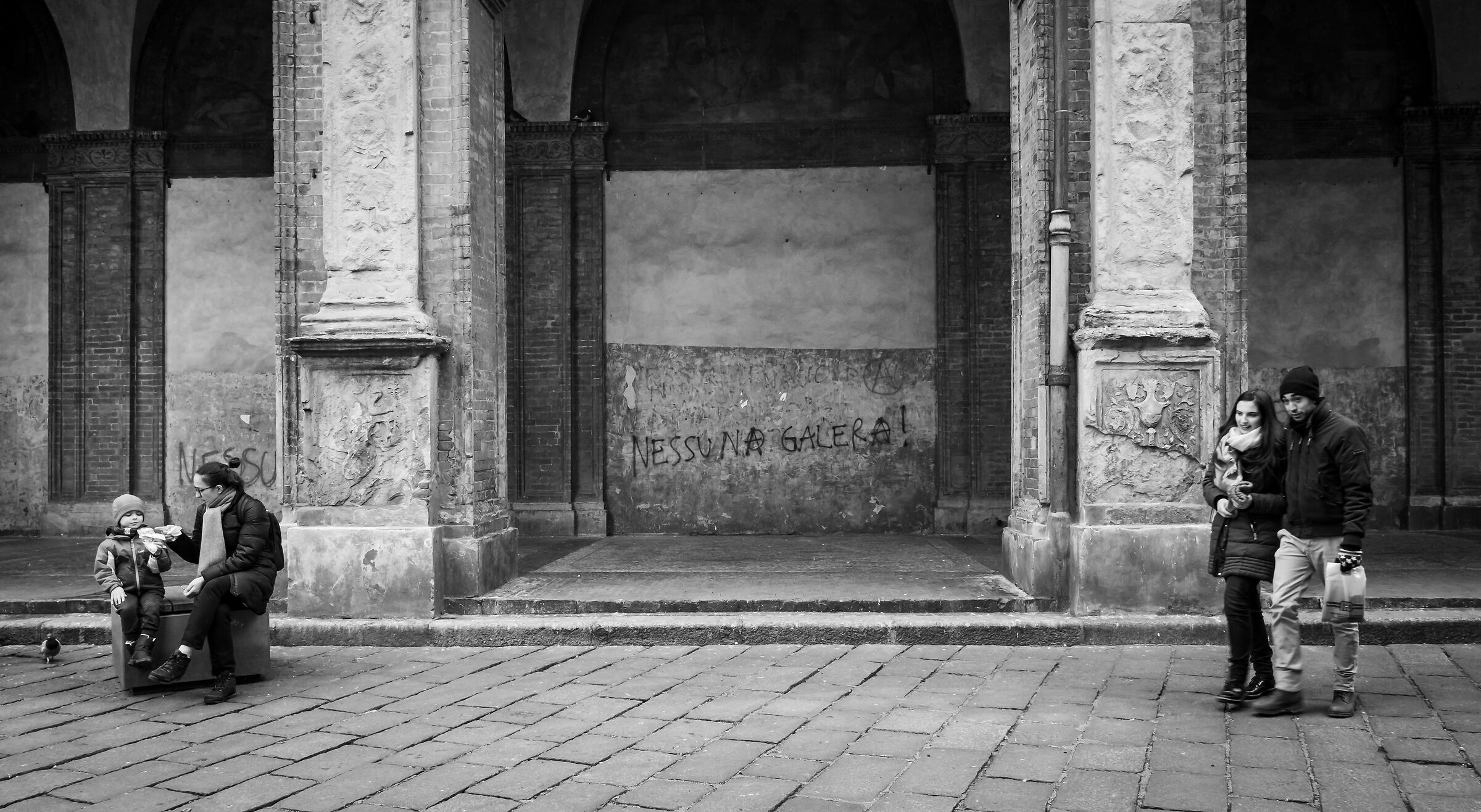 Untitled Photo
