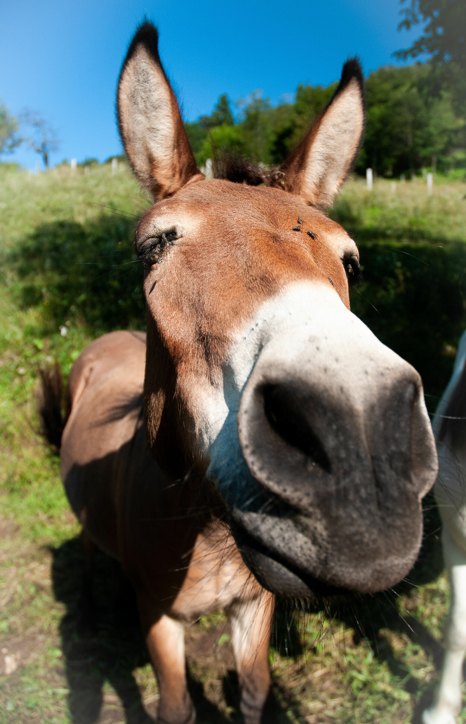 My eyes tourist that stresses me