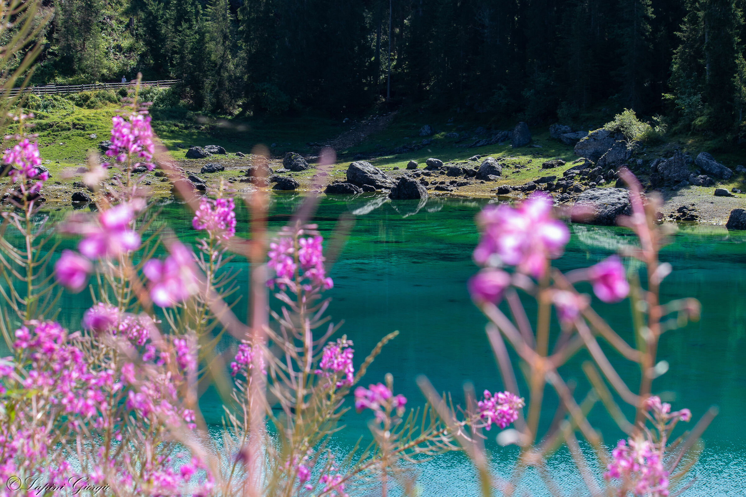 "Viewpoints" Lake Carezza