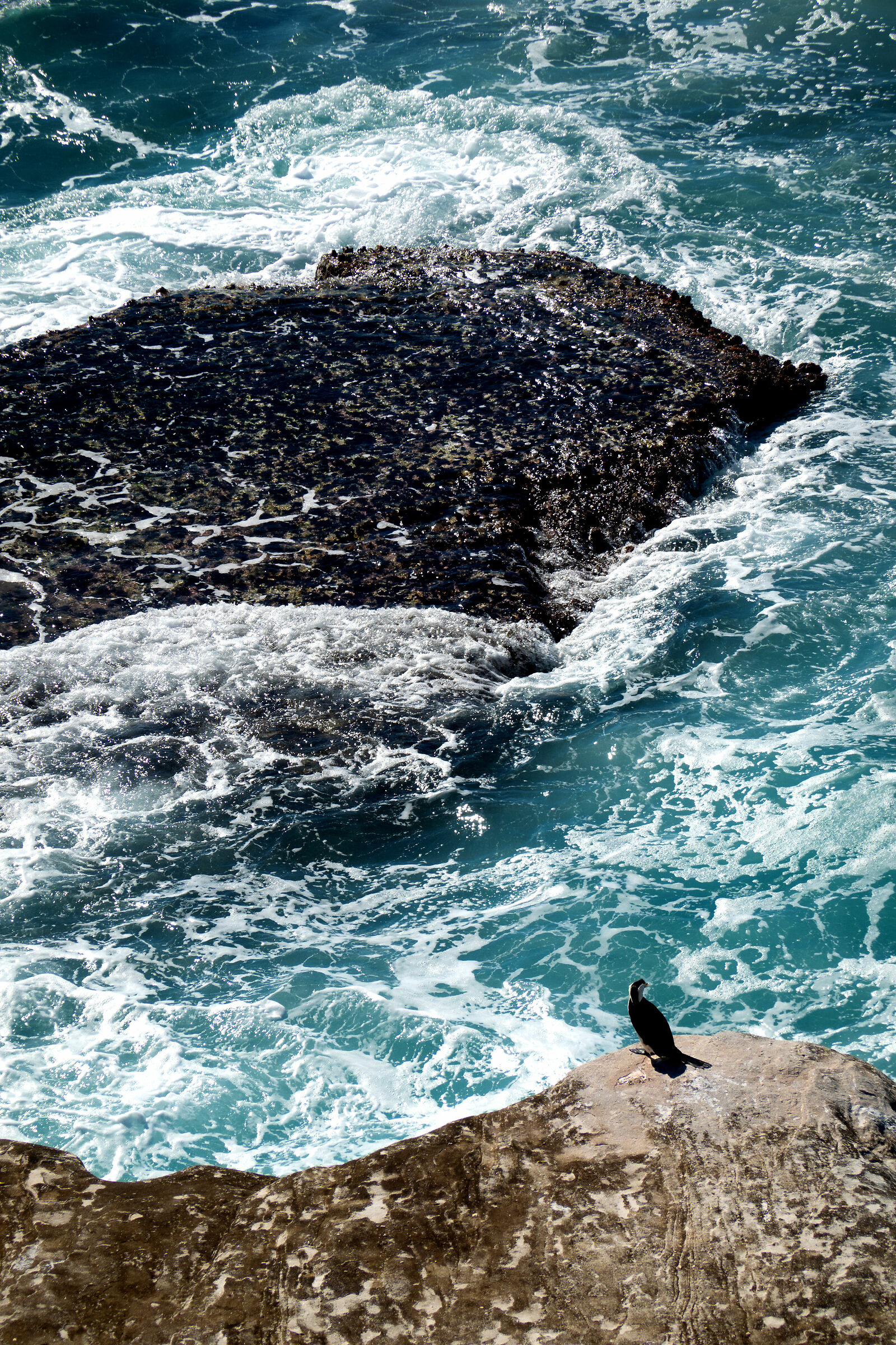 Bondi to Bronte coastal walk - Sydney