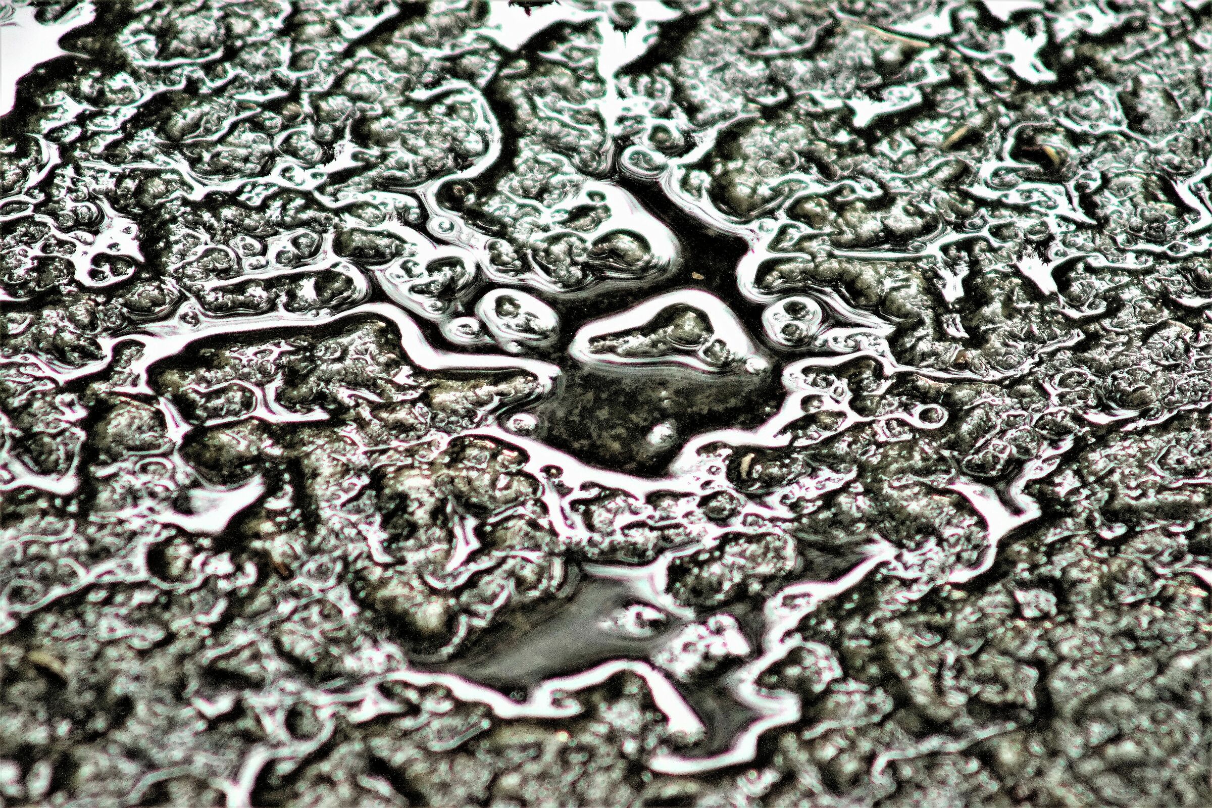 Stone, after the rain