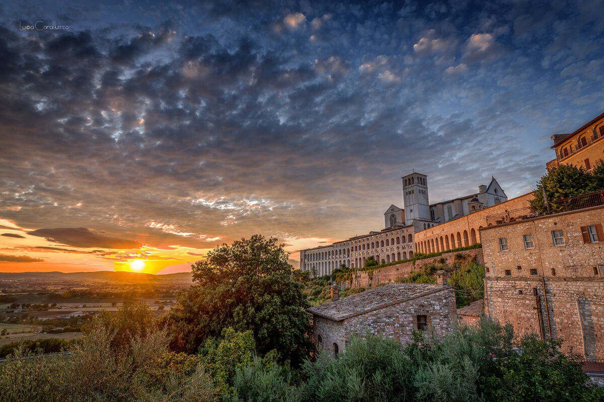 san francesco d'assisi