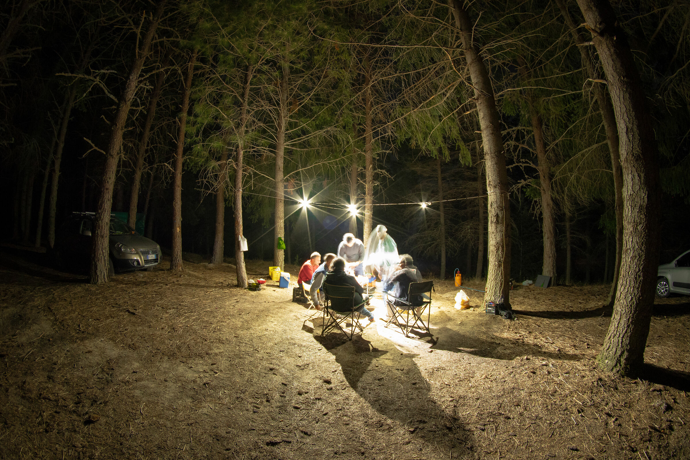 Immersed in the night