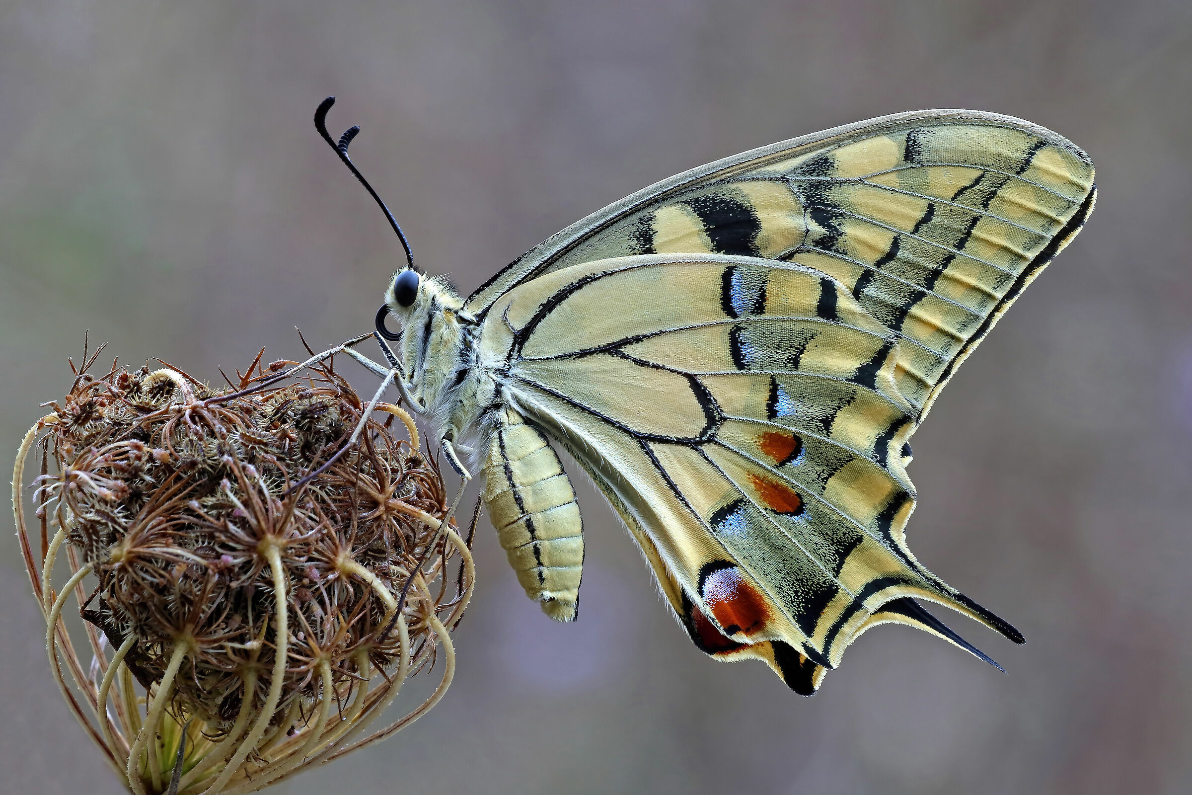 A jewel of nature...!!!!