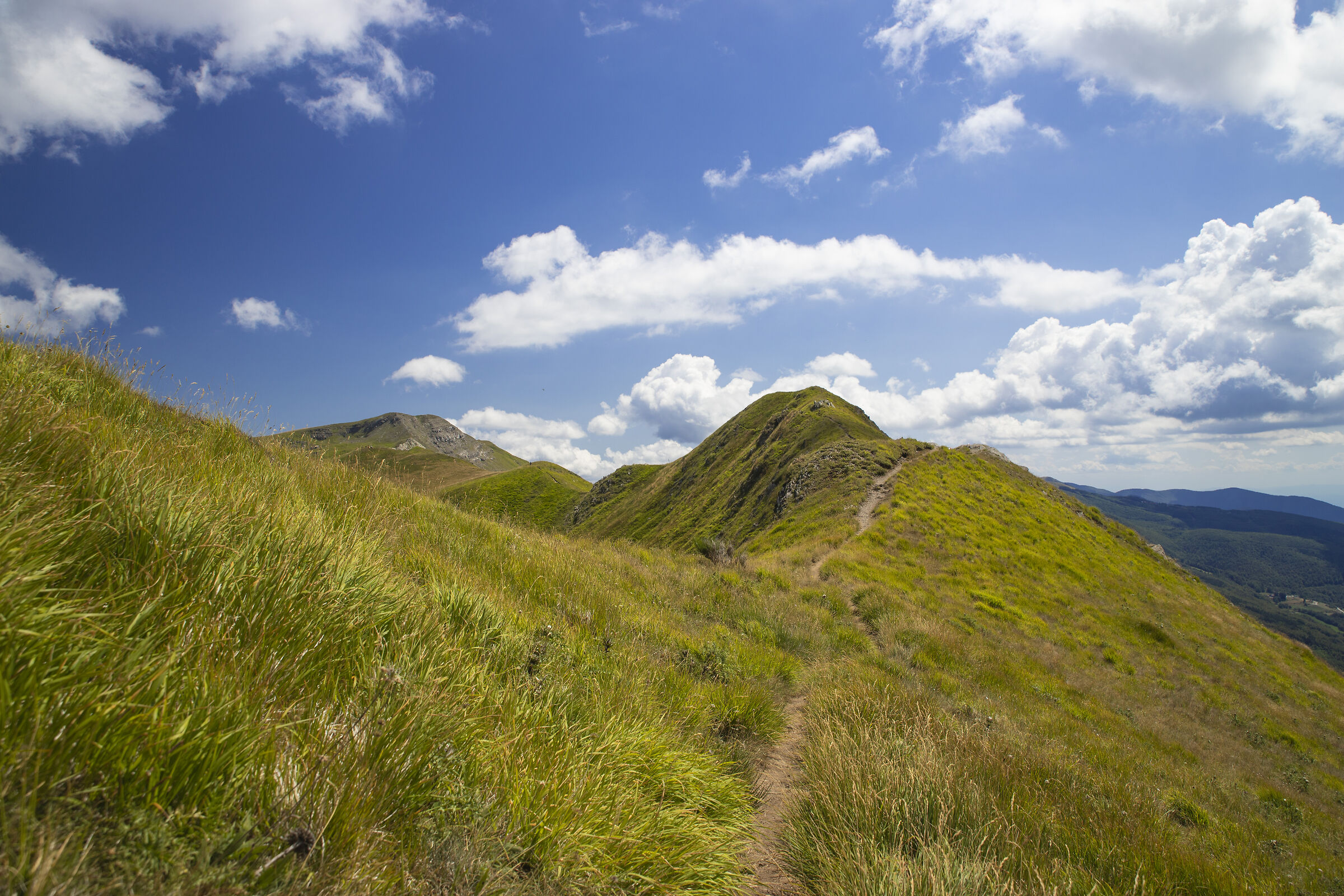 Crinale del Libro Aperto