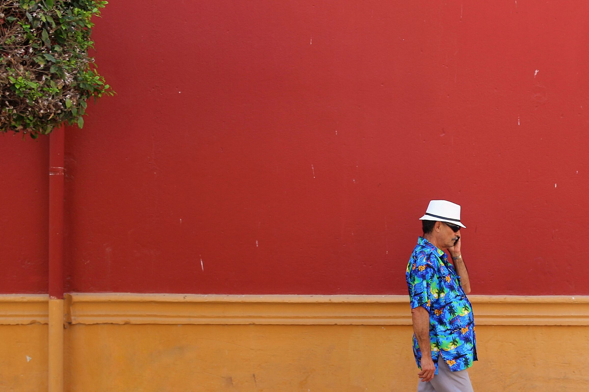 La camicia hawaiana.