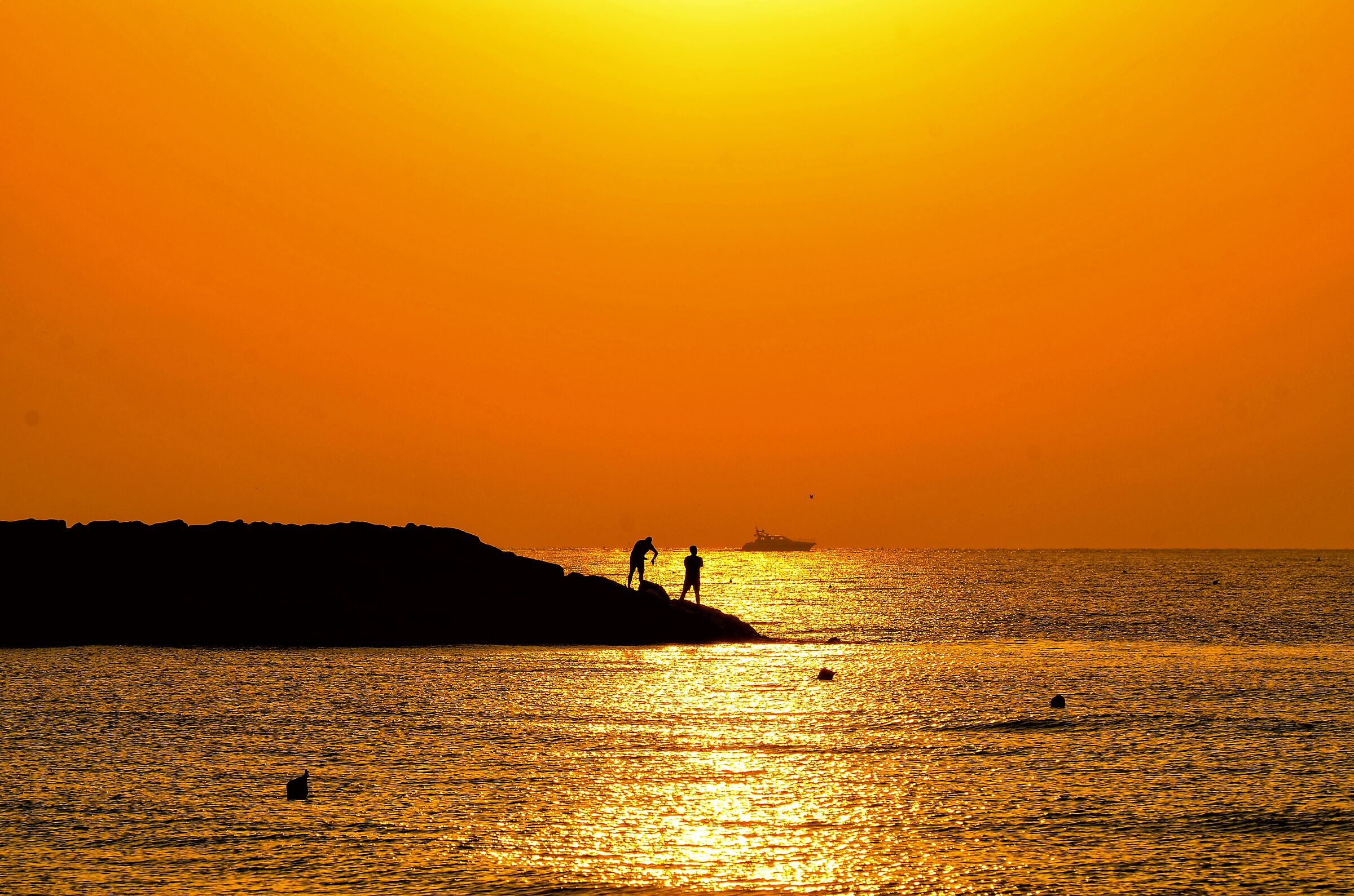 Pesca d'oro a cavallino