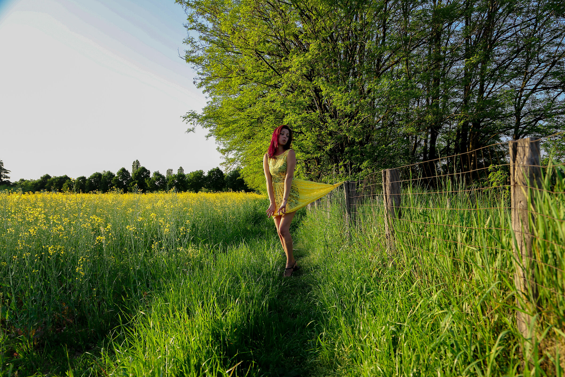 Mimi campo di fiori 2