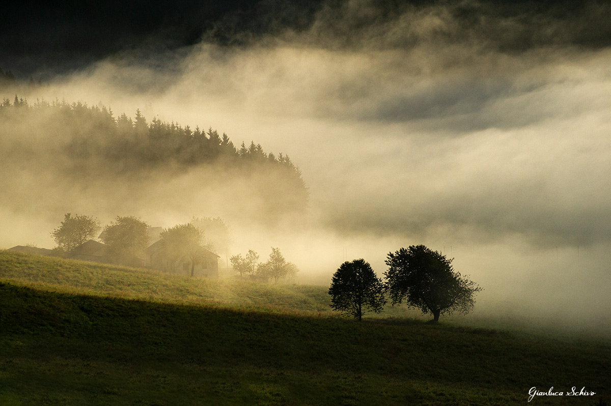 Summer mists