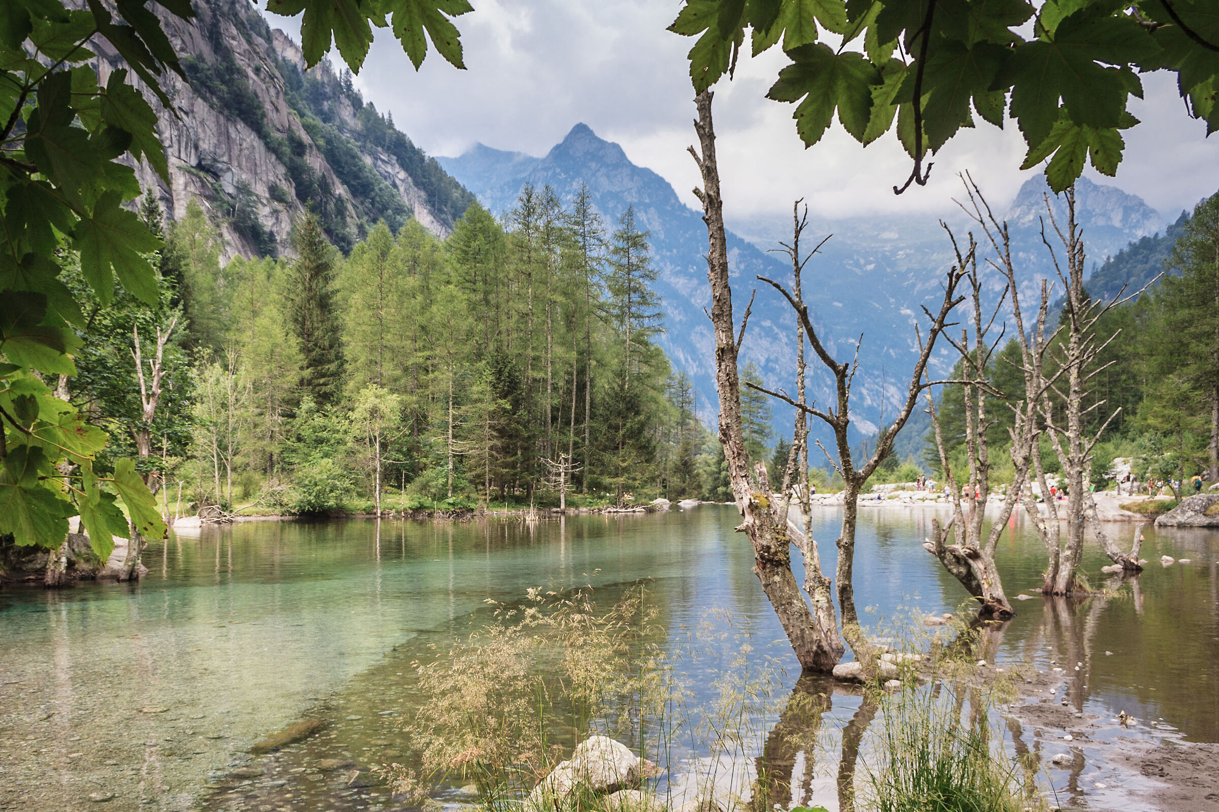 Bidet of the Countess