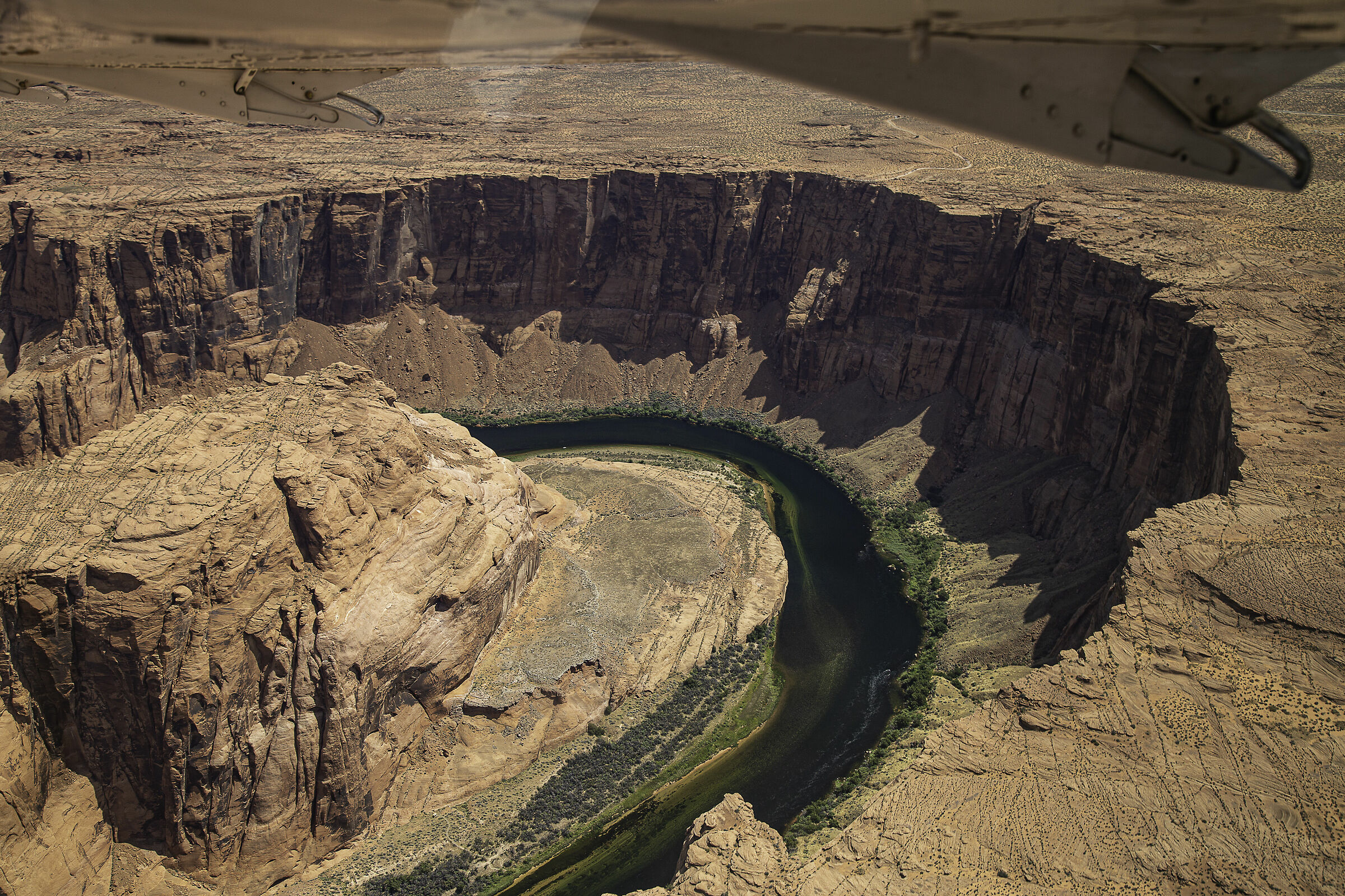 United States 2019 - Horsebend shoe