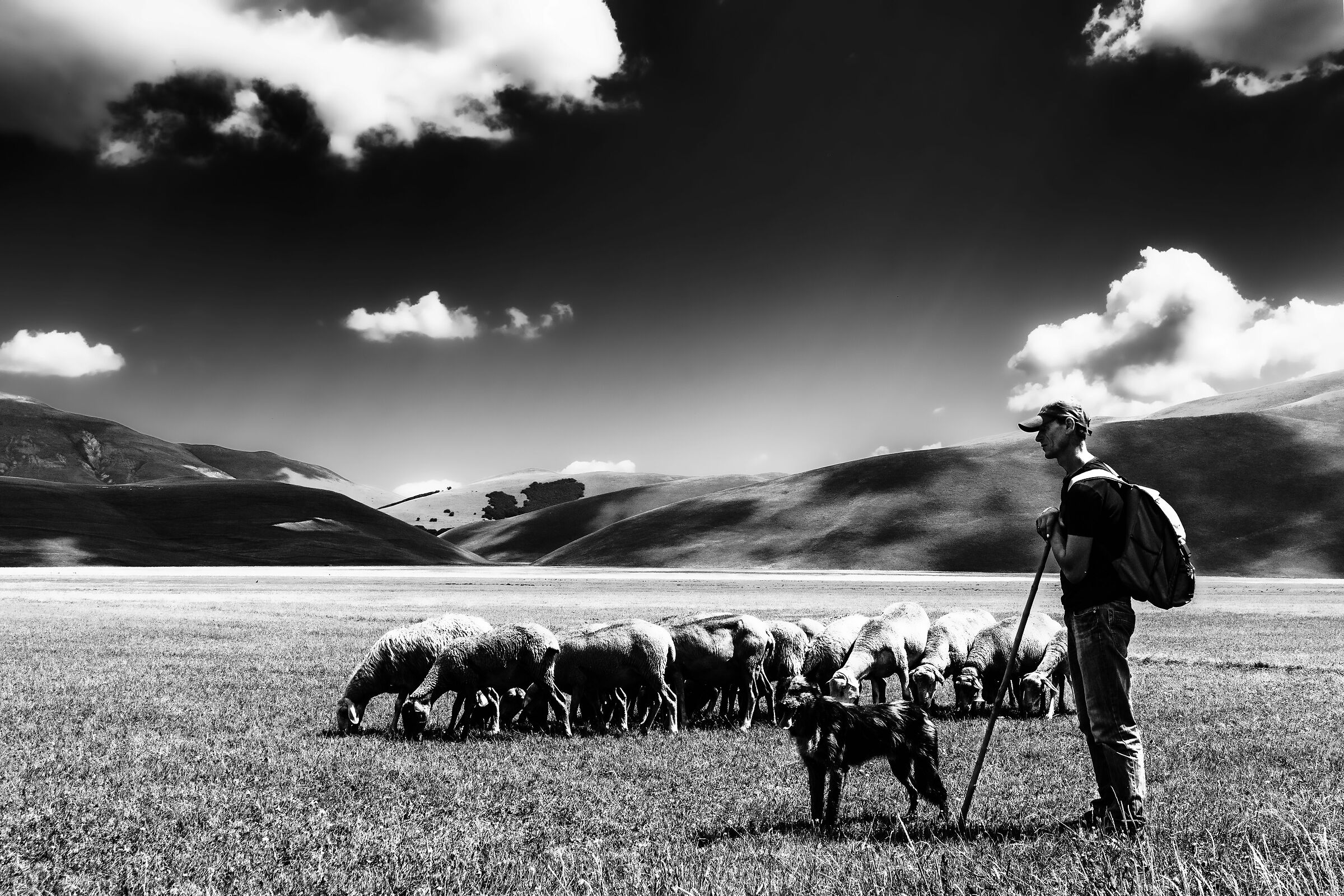 pastorizzia nella piana di castelluccio norcia