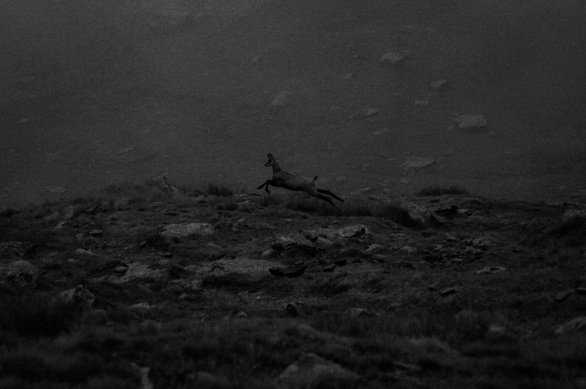 Correndo nella tempesta