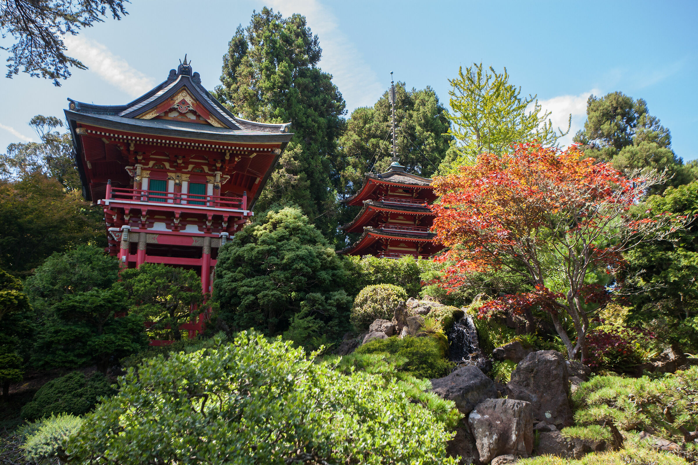 Japanese Tea Garden, San Francisco