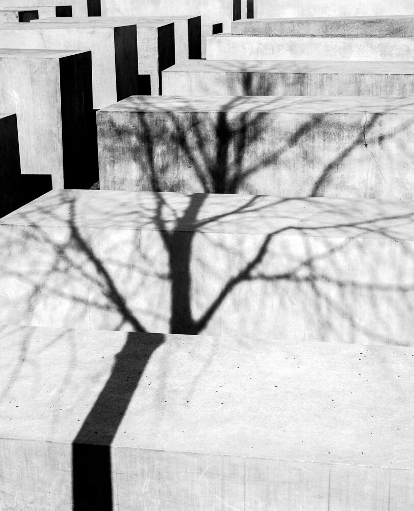 Shadows on a dark past