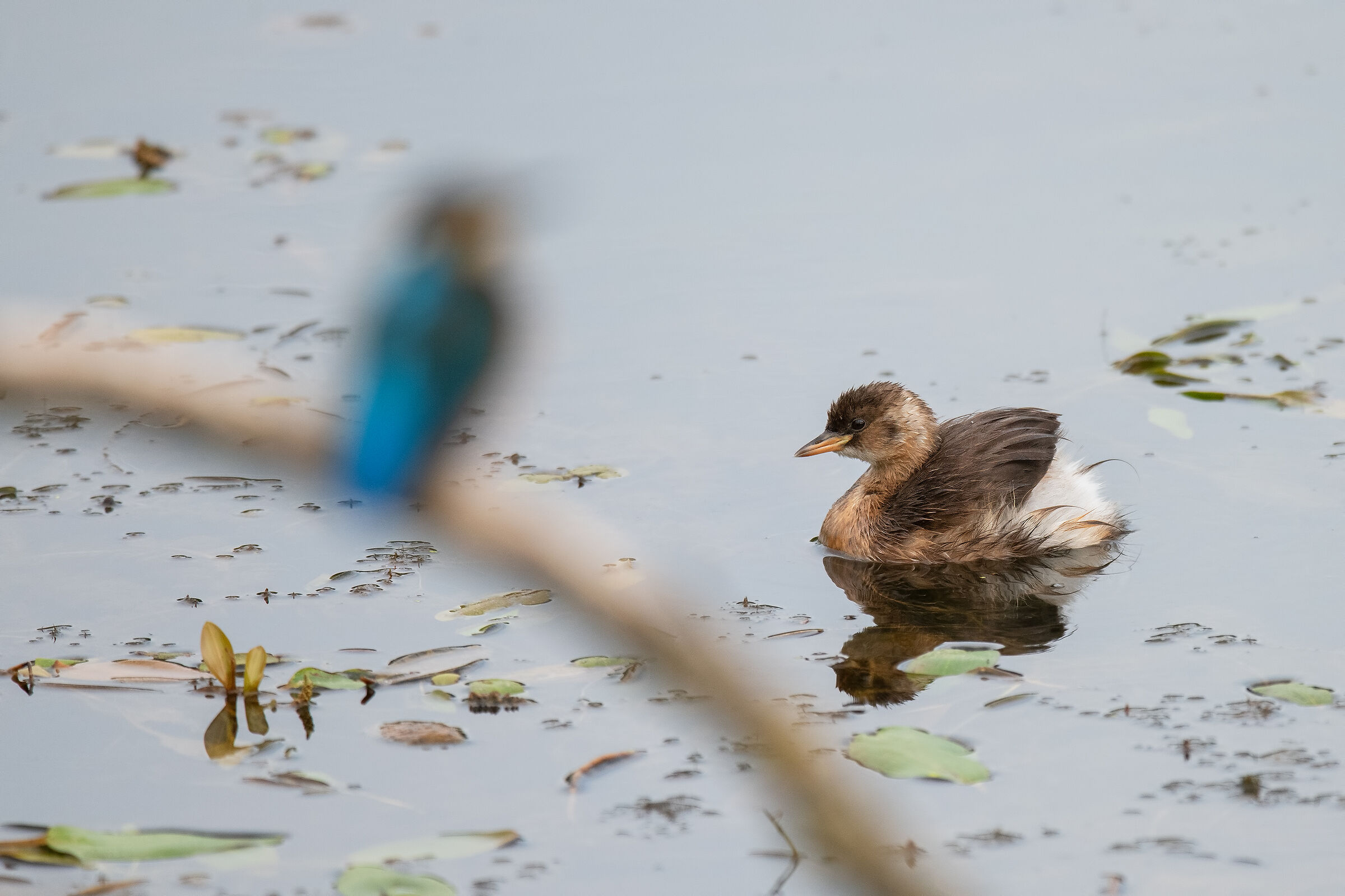 Due pescatori provetti