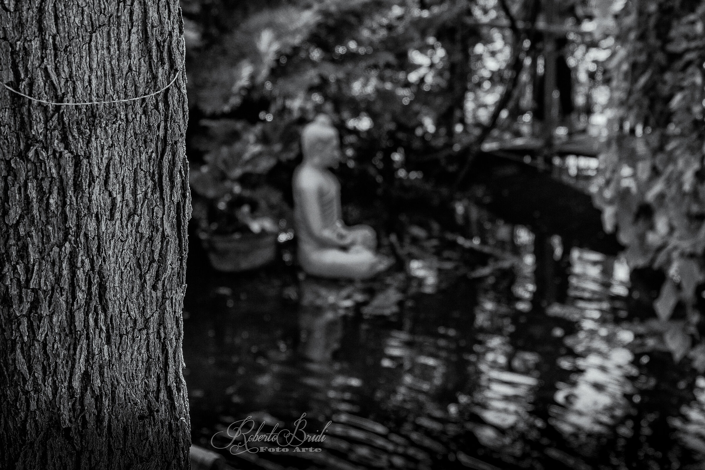 Ostacoli del Pensiero