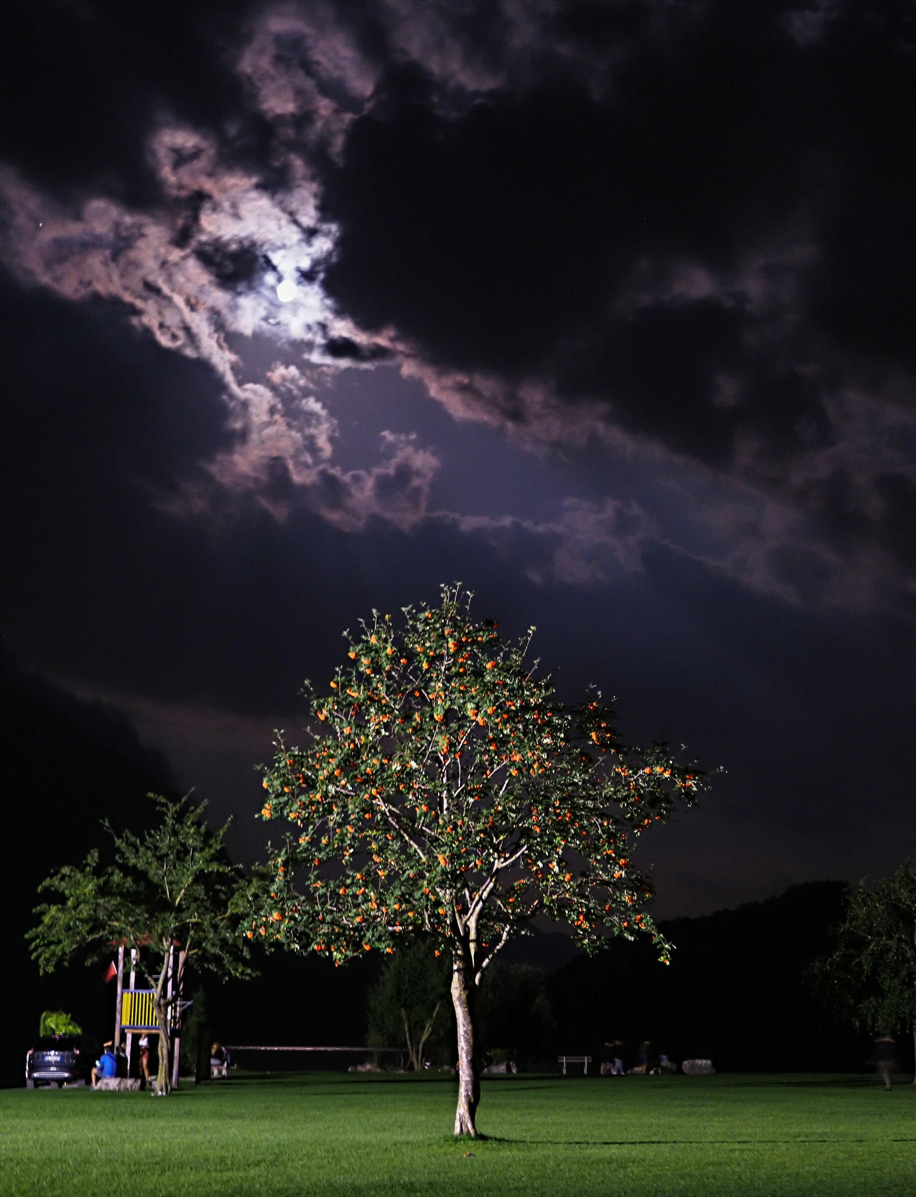 a light in the darkness