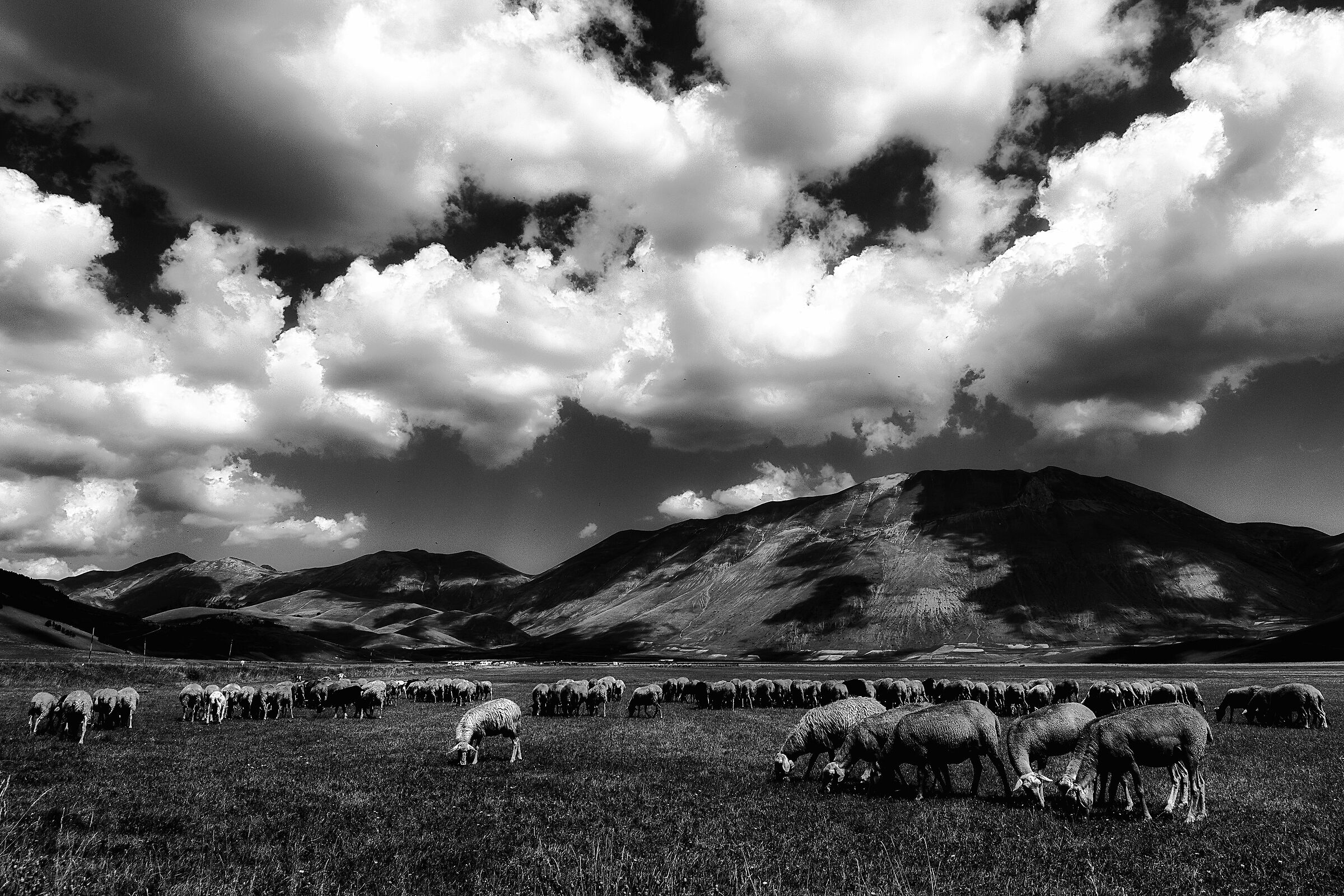 piana di castelluccio di norcia il cielo
