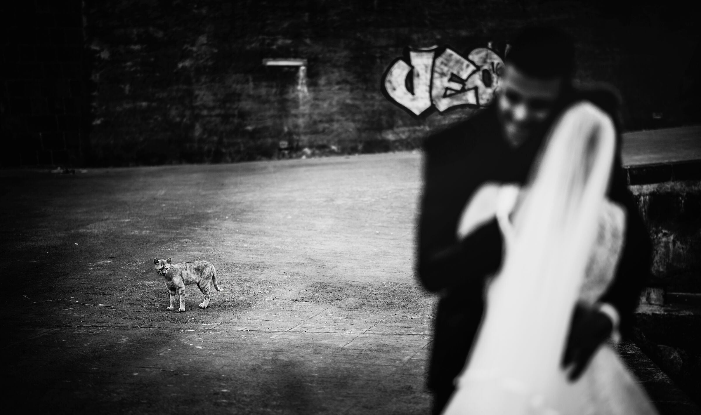 Witness of a marriage