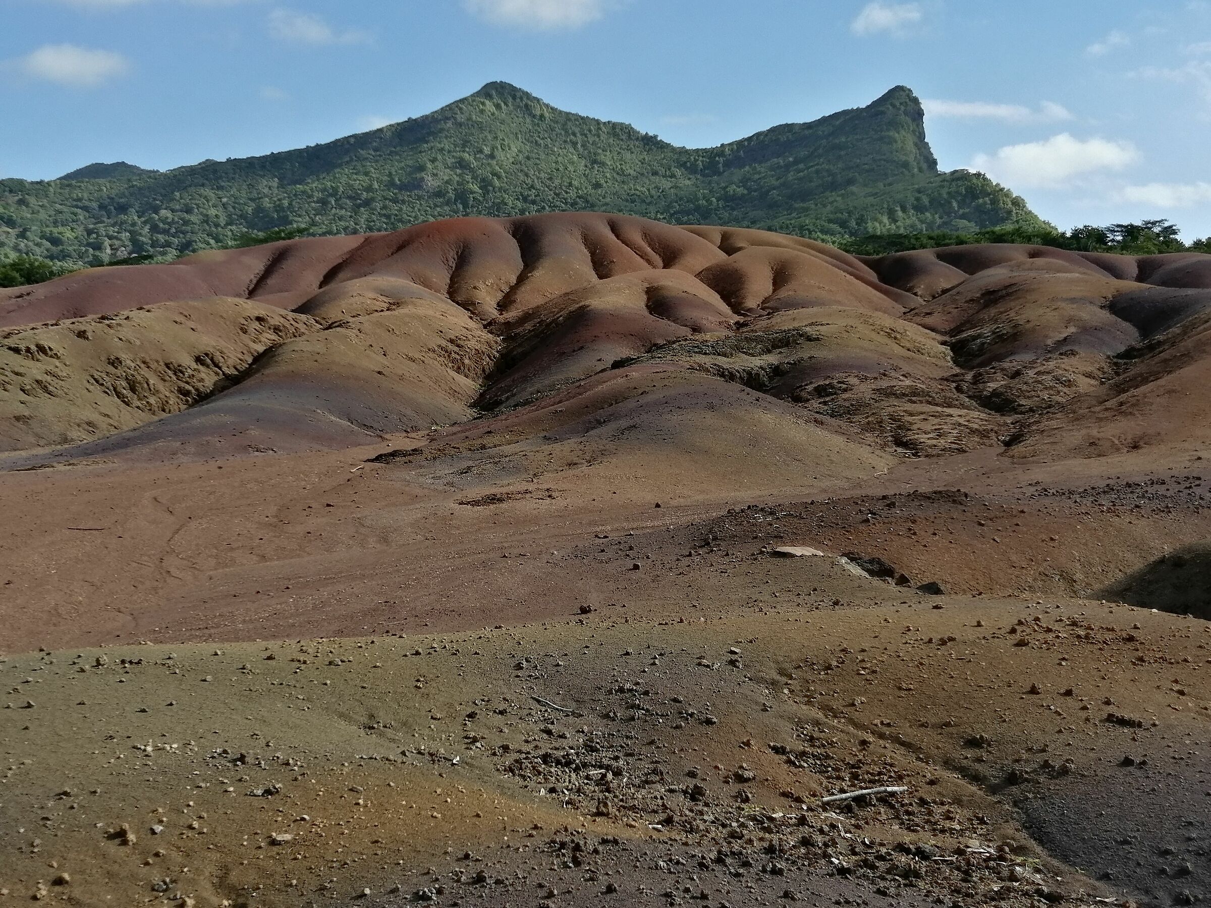 The Land of 7 Colors, Mauritius