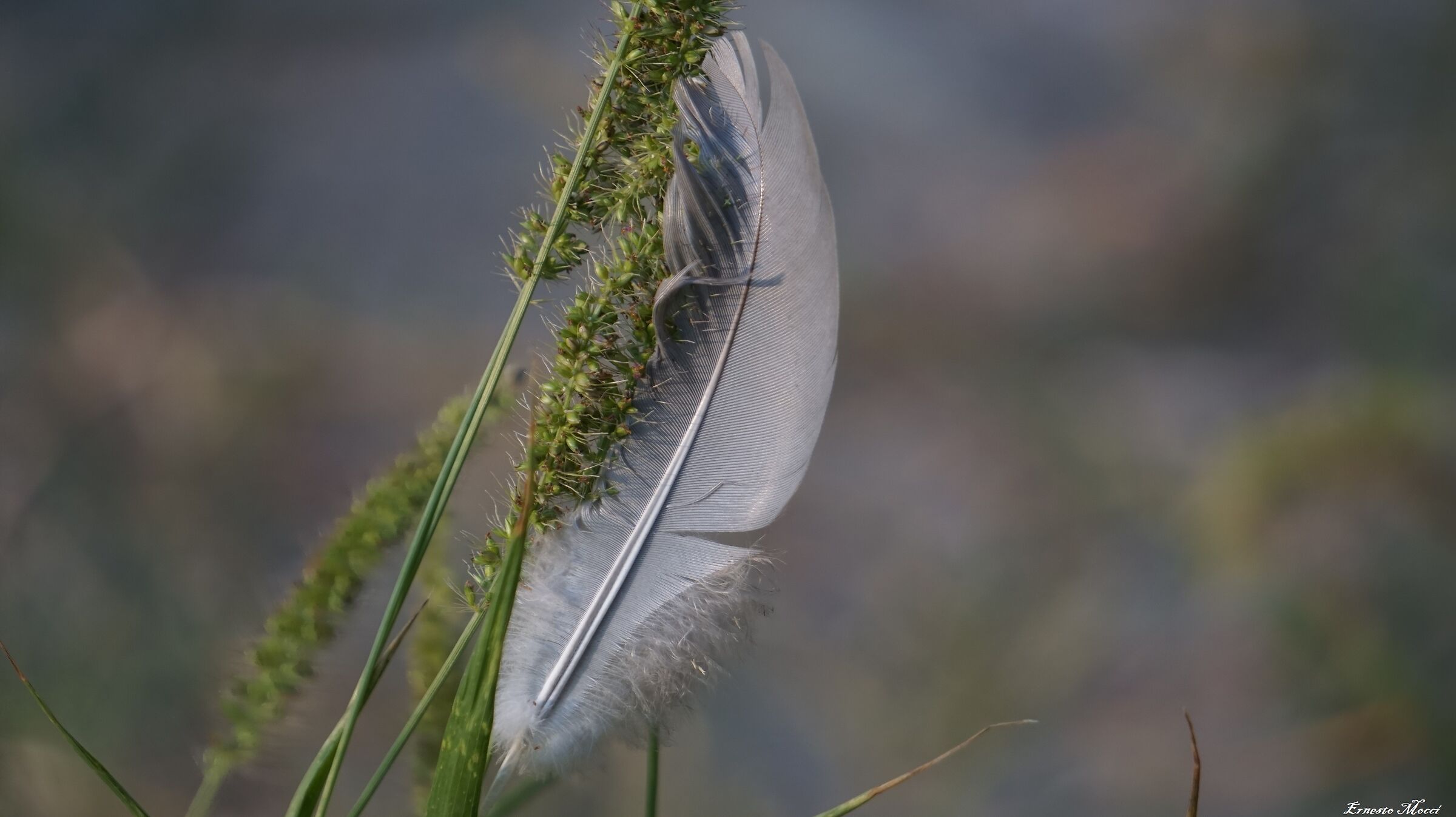 WARNING: It is not love