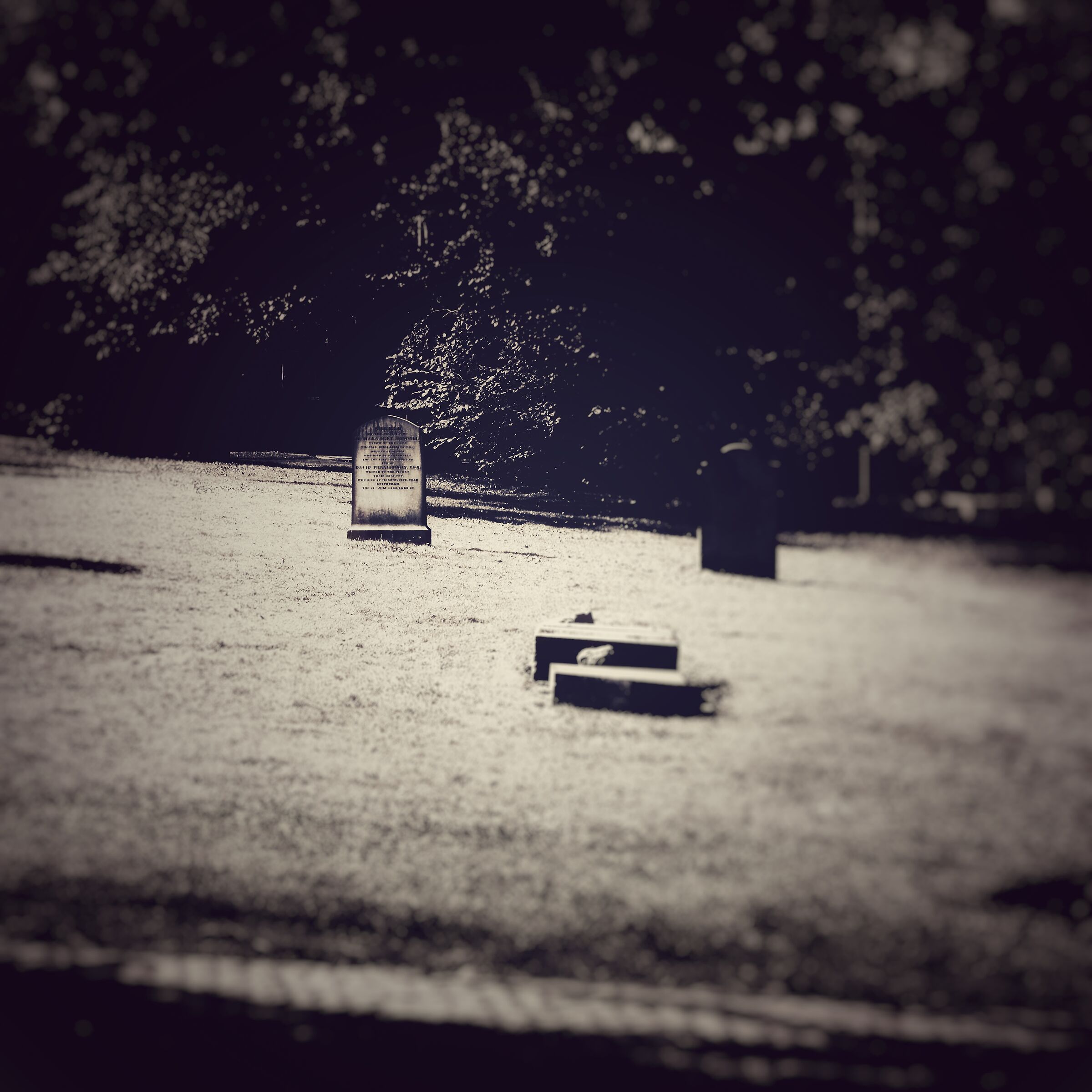 Fantasmi a Edimburgo