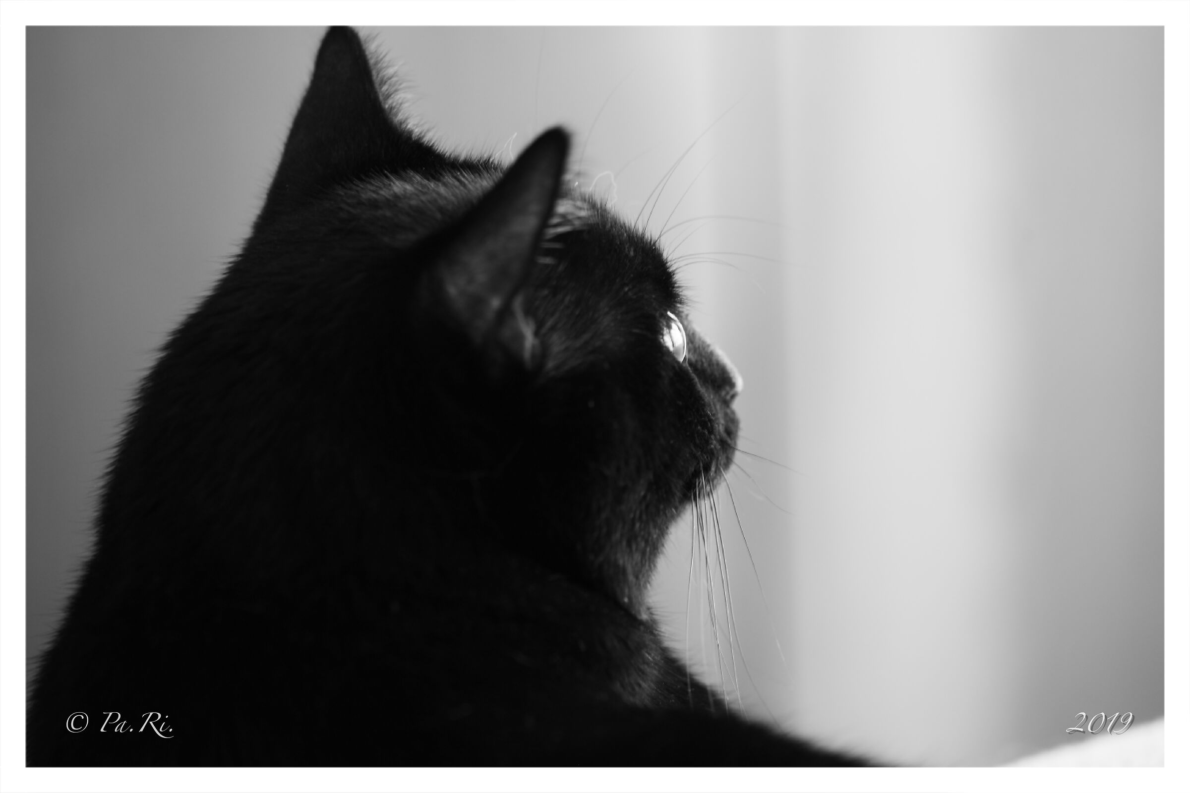 Today in black and white.