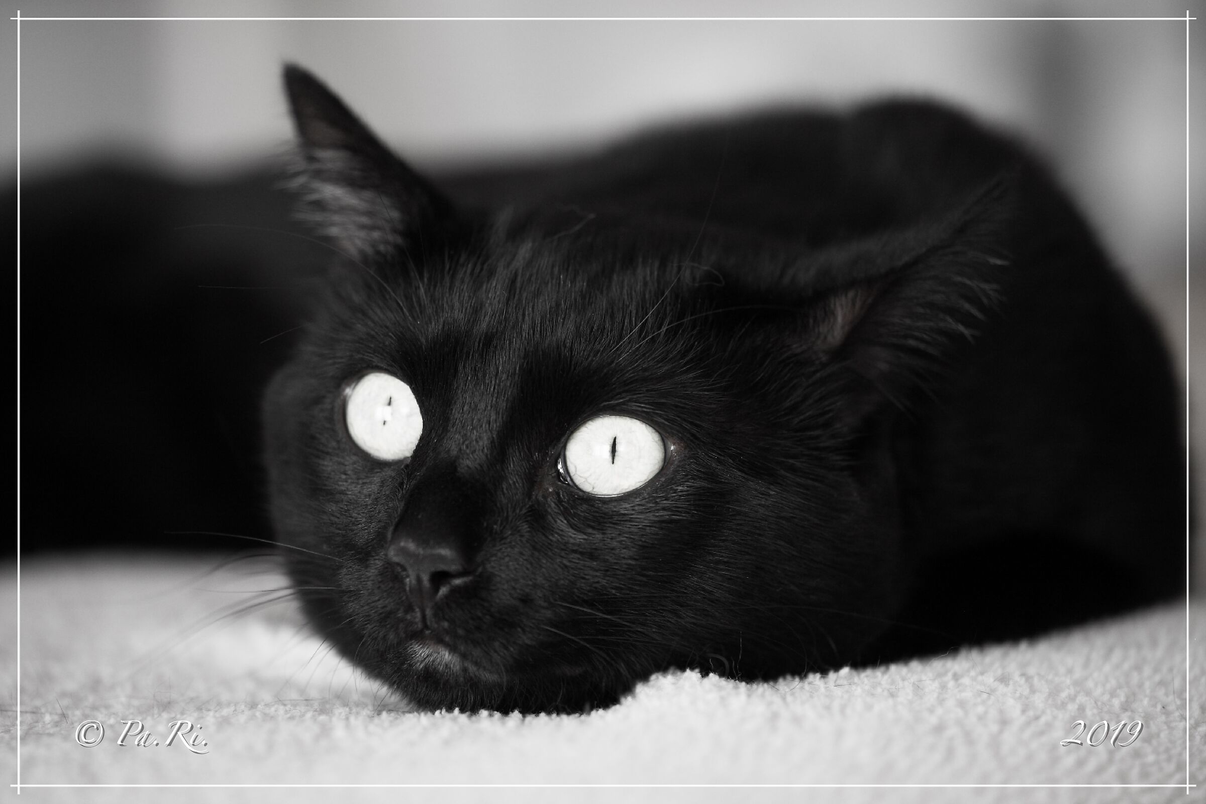 Today in black and white.